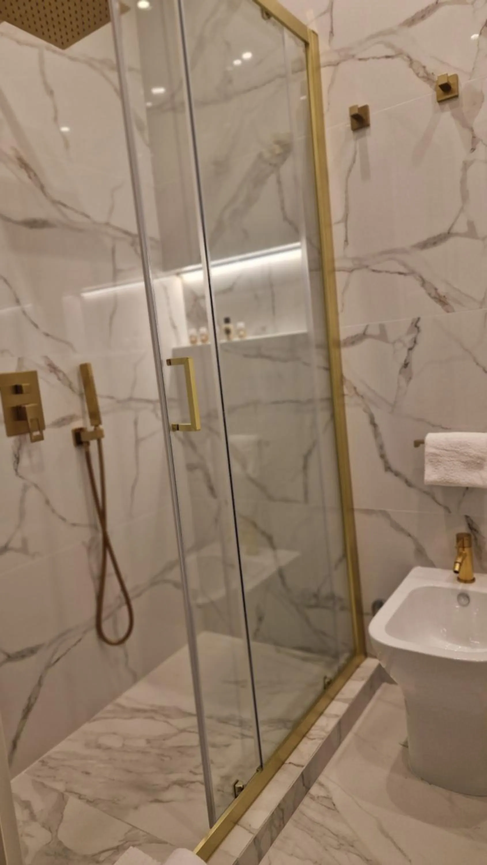 Toilet in Livingvaticano