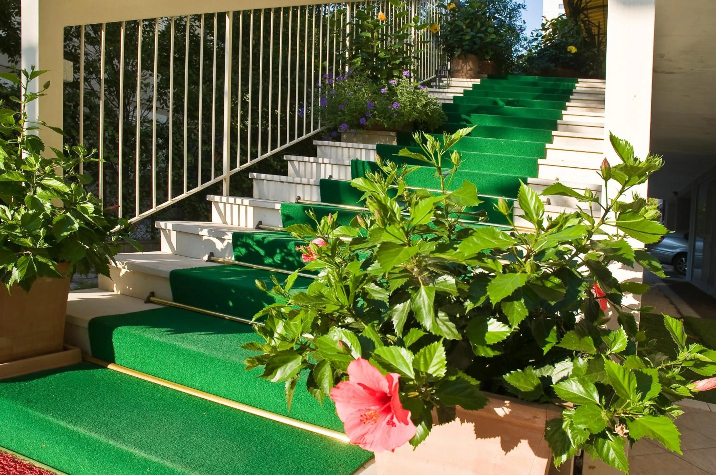 Garden in Hotel Donatello