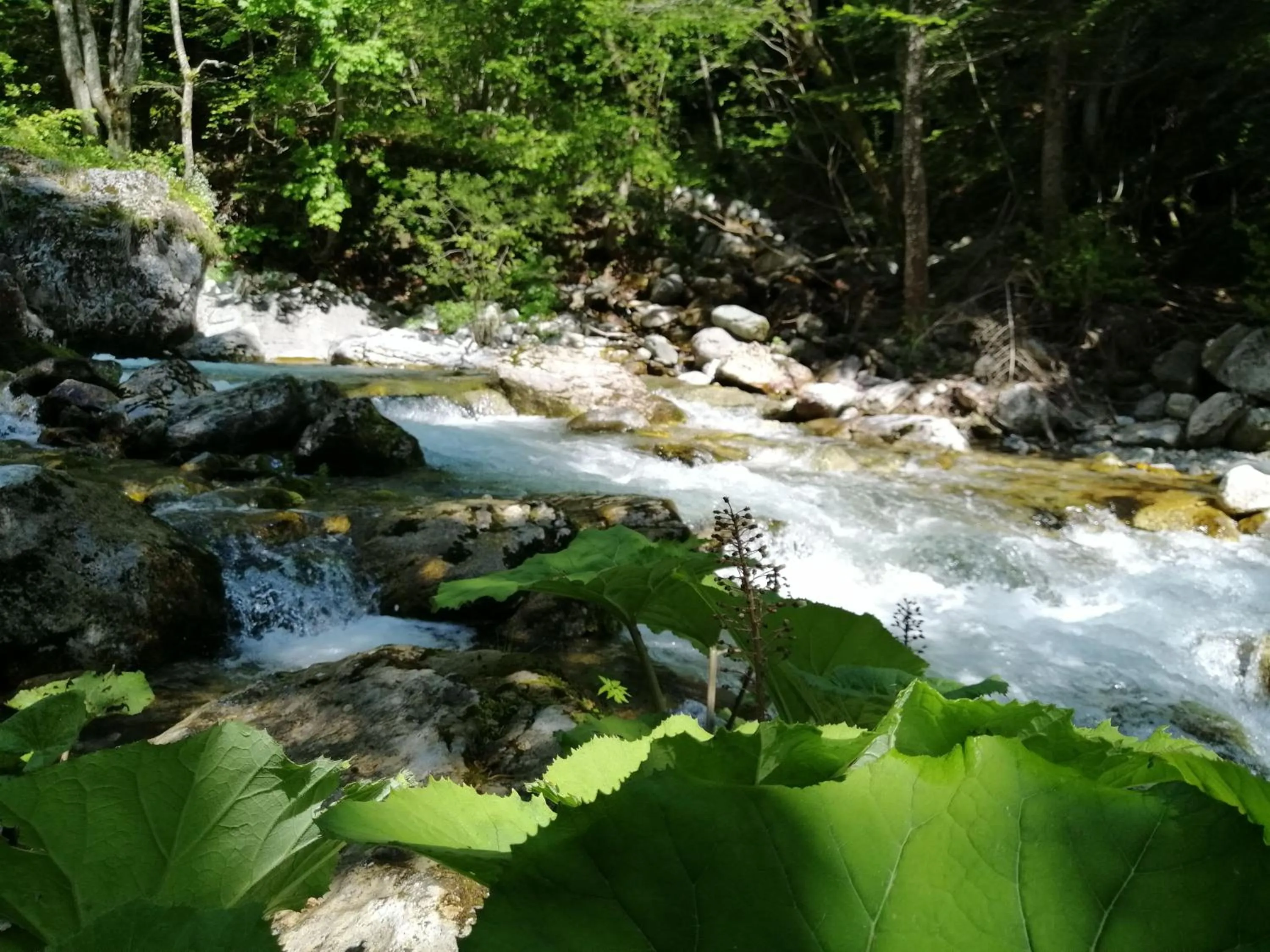 Osteria l'iero d'Eima'