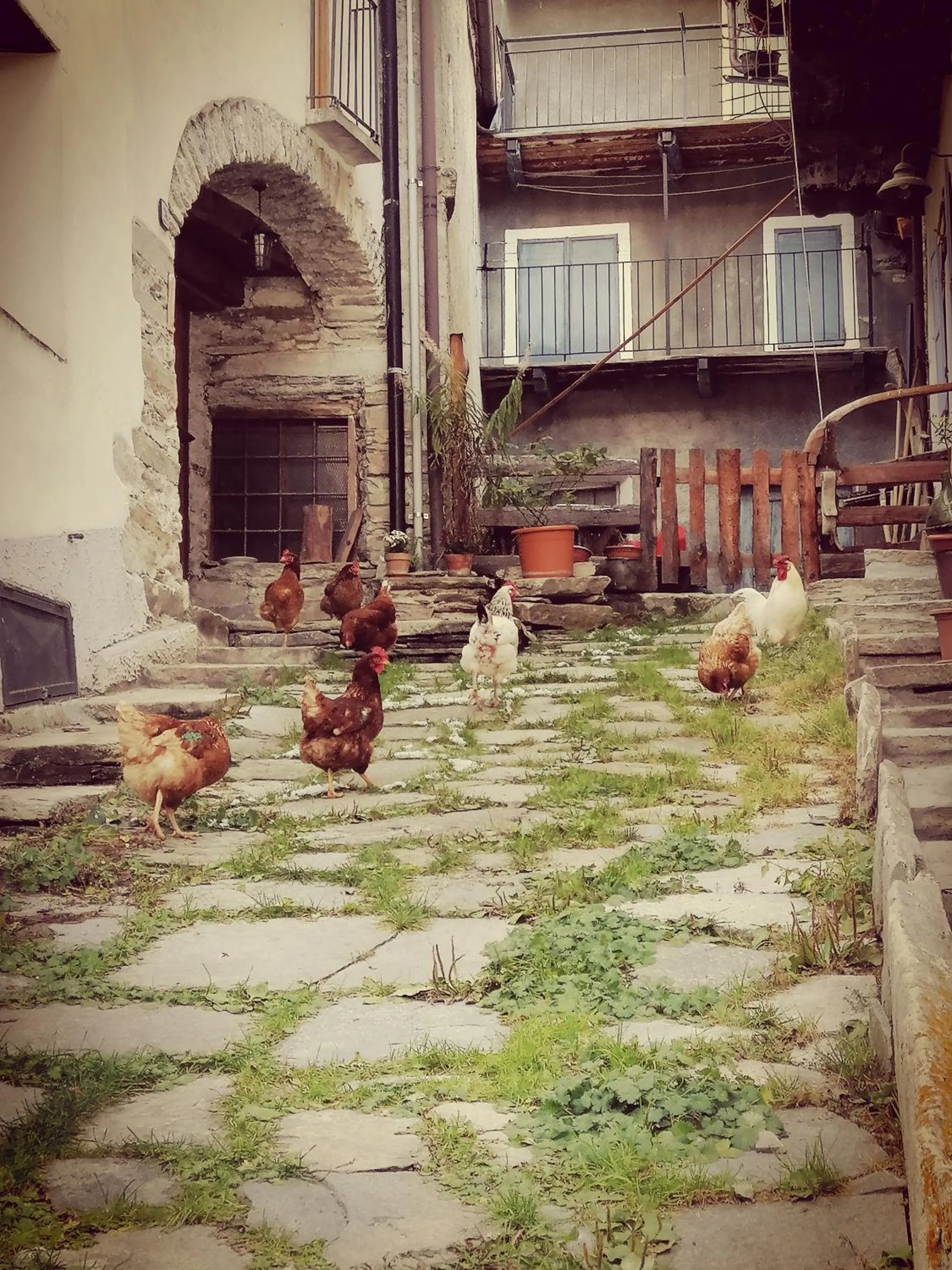 Osteria l'iero d'Eima'