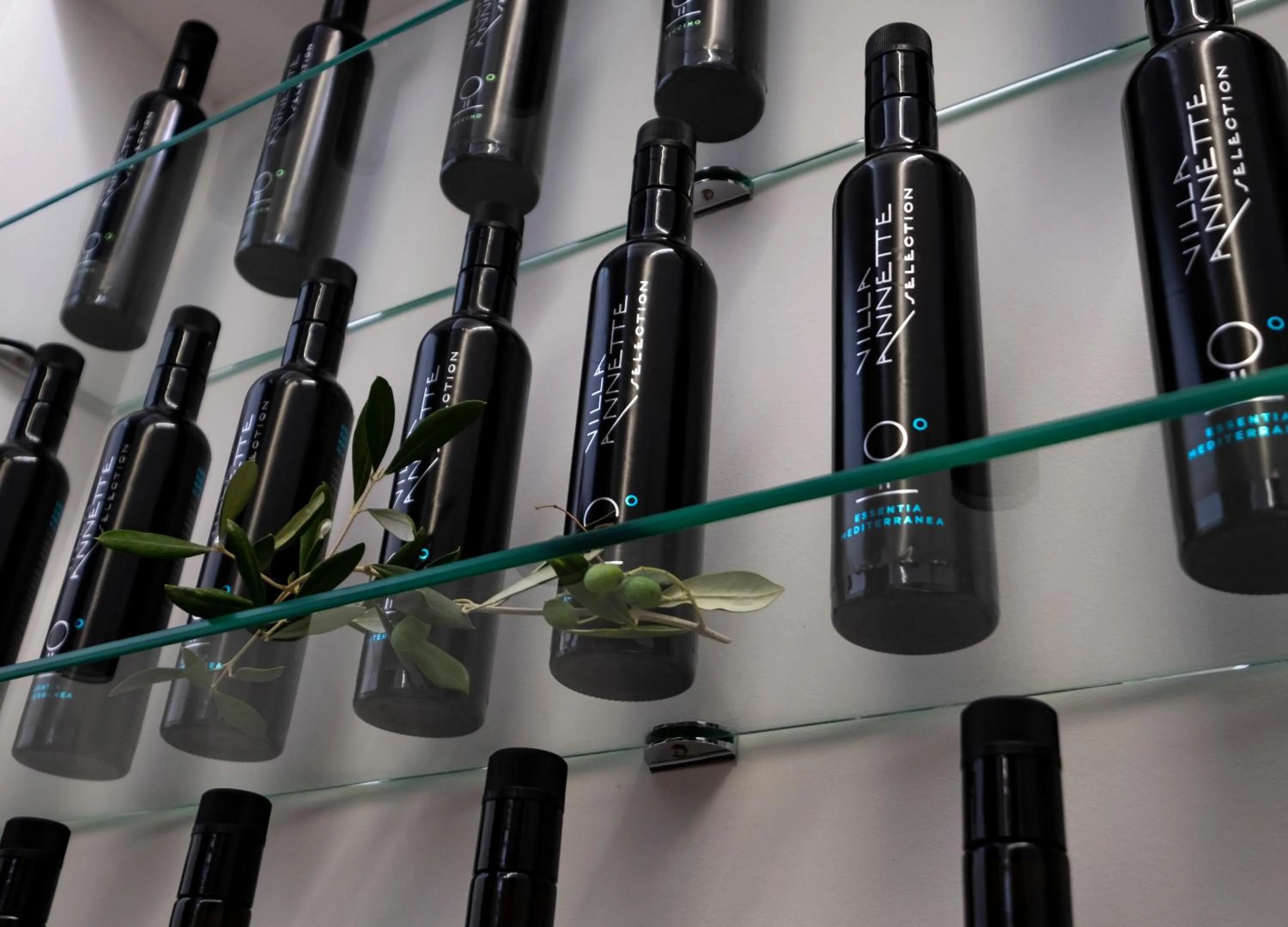 Restaurant/places to eat in Hotel Villa Annette