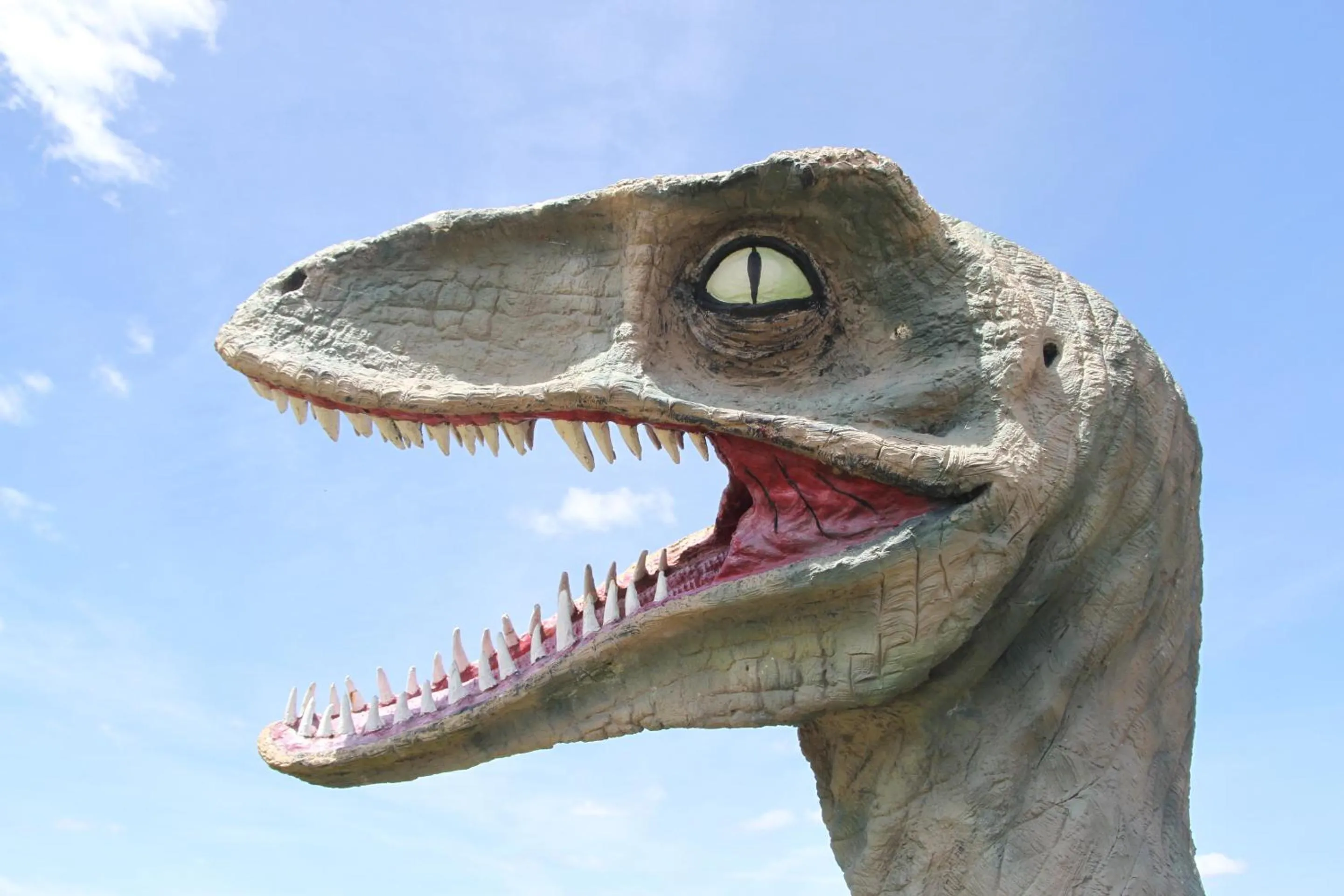 Other in Chale Bay Farm