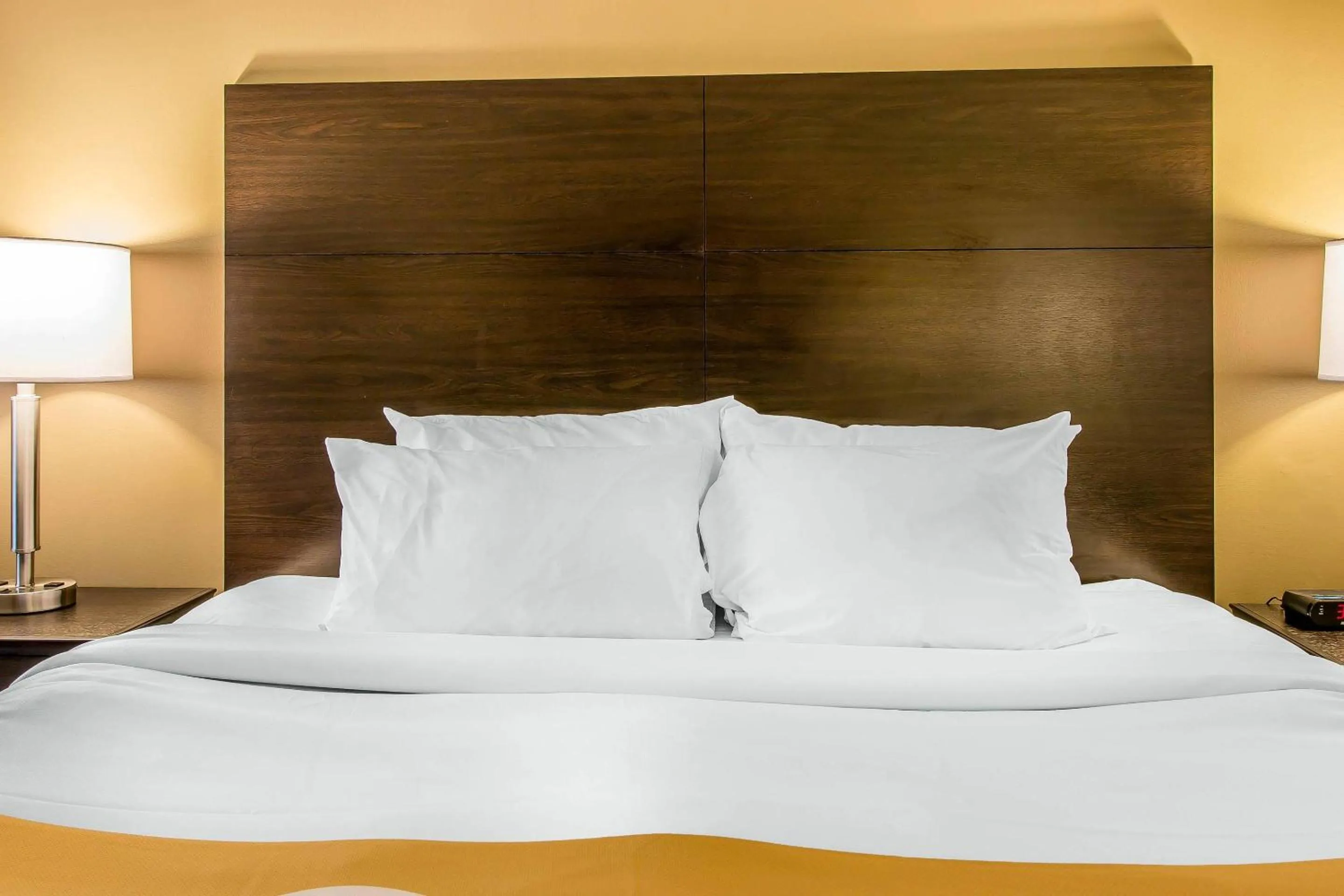 Bedroom, Bed in Quality Inn & Suites Houghton Downtown