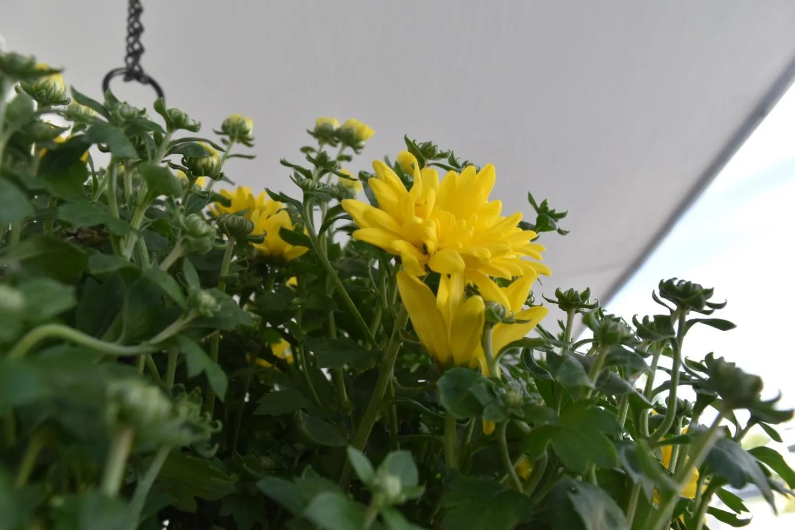 Property building in Motel de L'Anse et Camping Rimouski