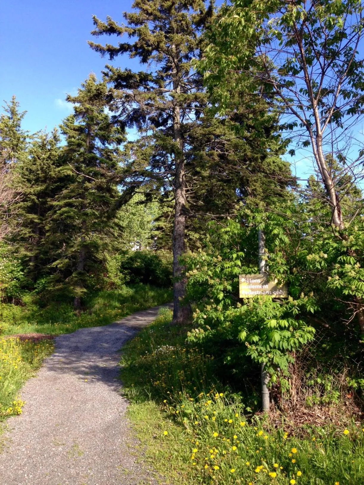 Hiking in Motel de L'Anse et Camping Rimouski