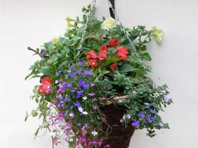 Garden in Kettle House B&B