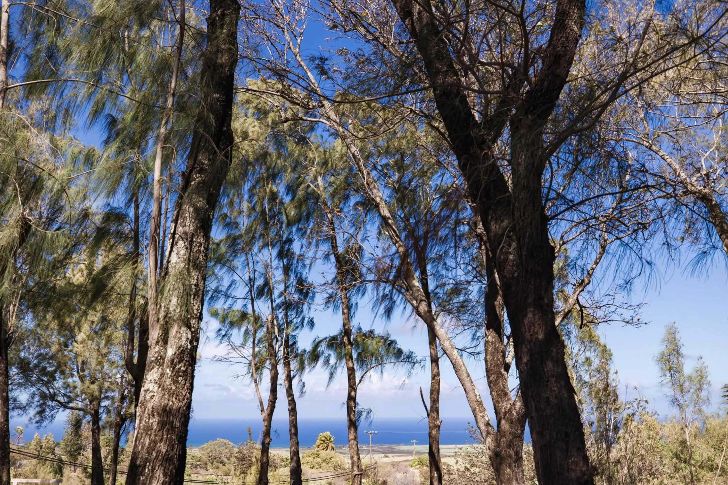 Natural landscape in Lumeria Maui, Educational Retreat Center