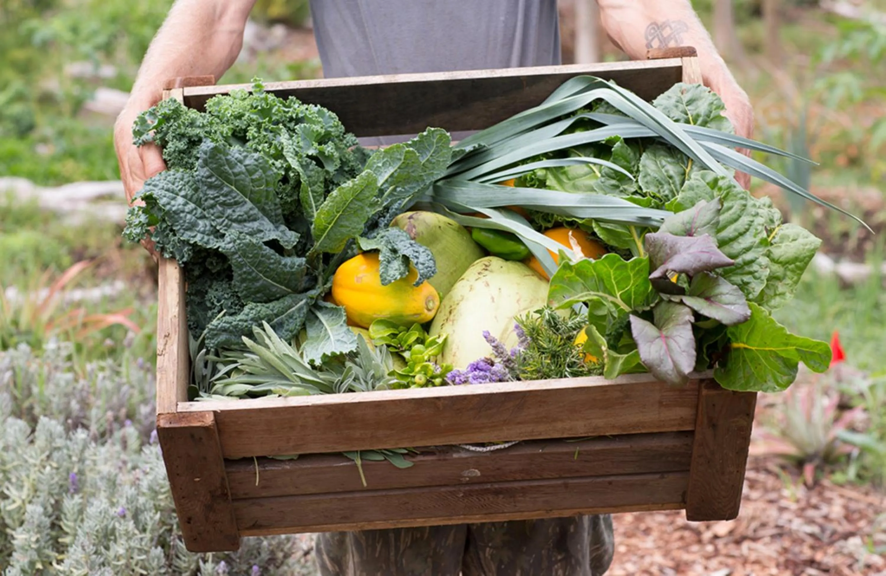 Food in Lumeria Maui, Educational Retreat Center