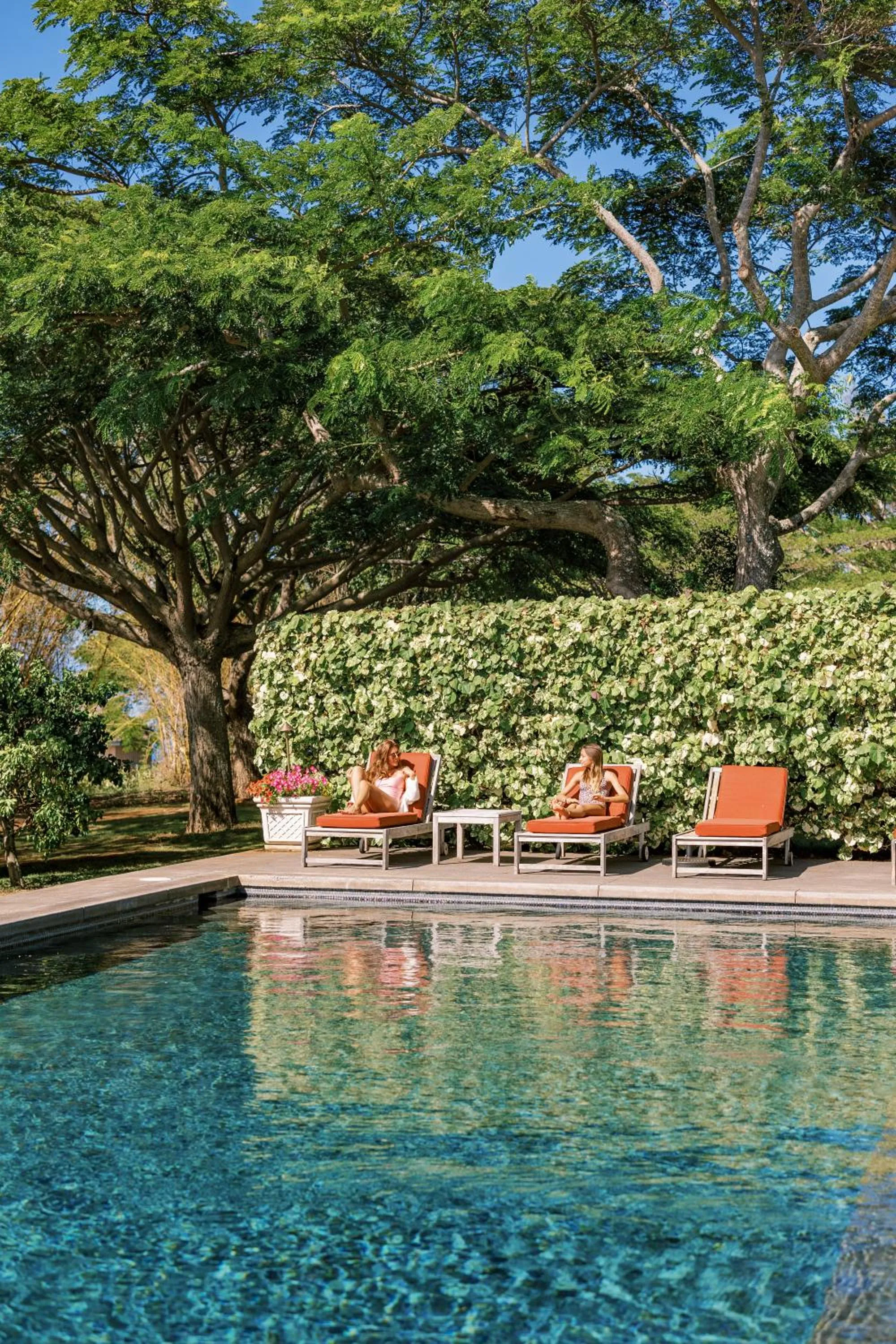Swimming pool in Lumeria Maui, Educational Retreat Center