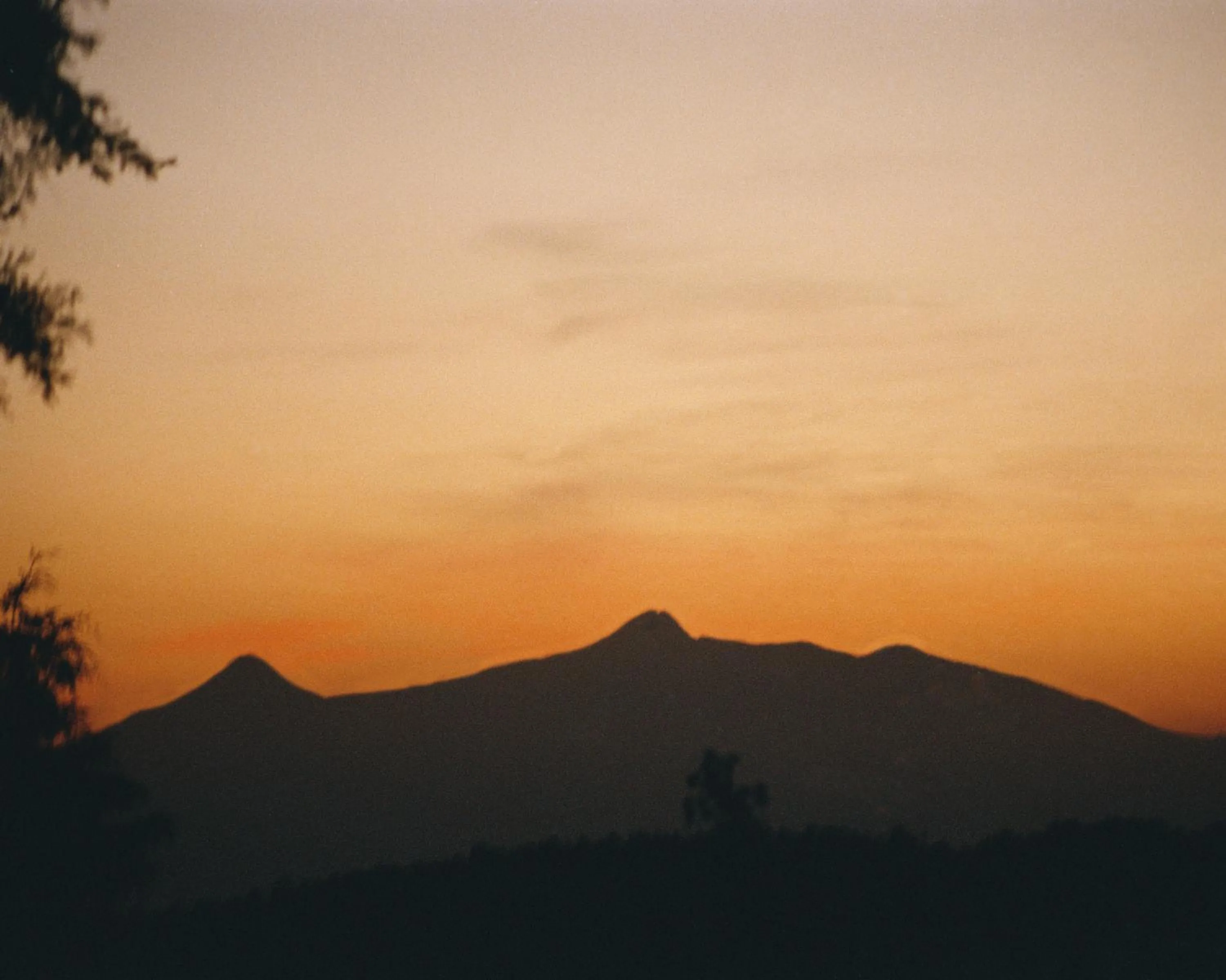 View (from property/room) in Monteverde