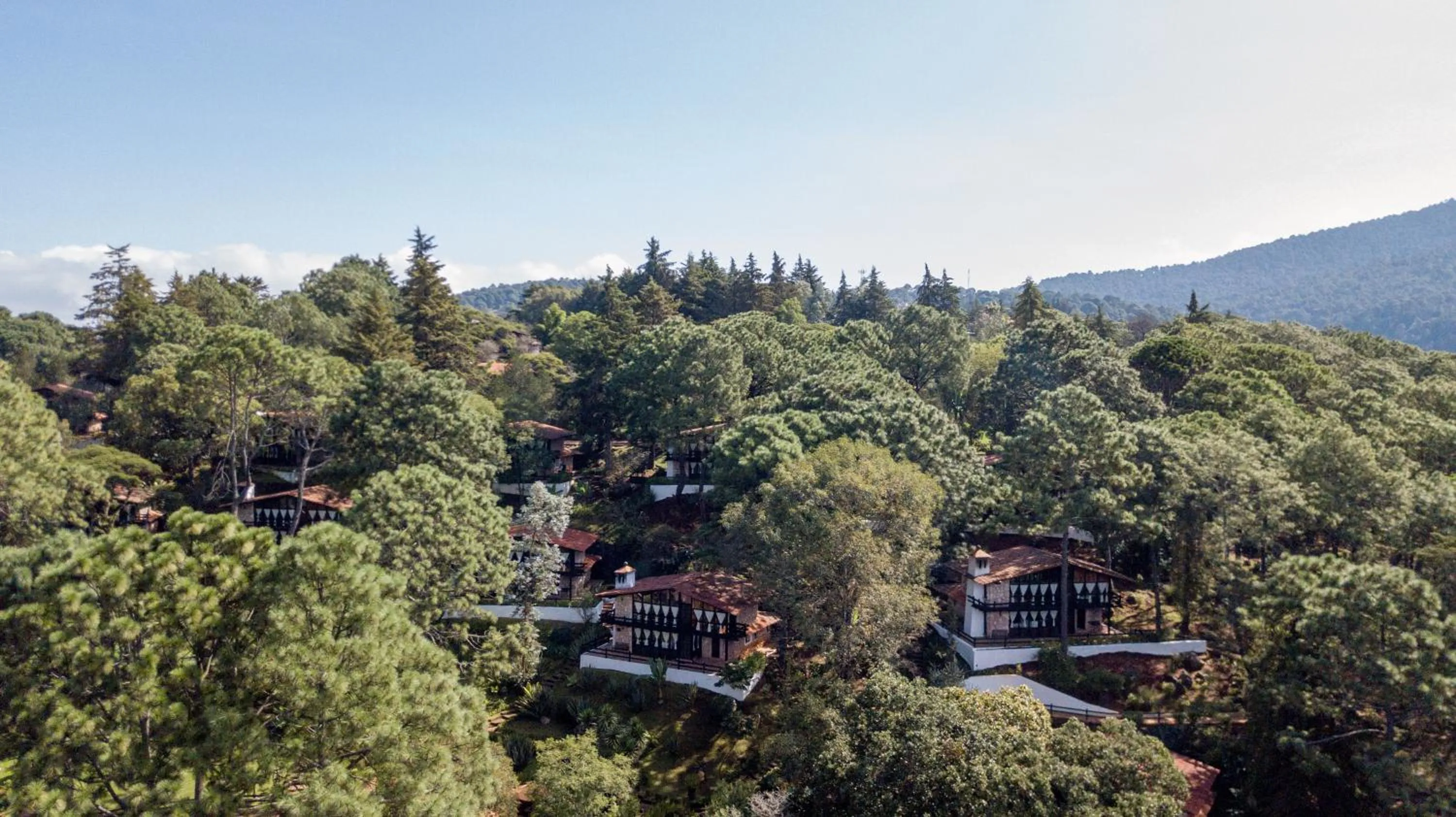 Bird's eye view in Monteverde