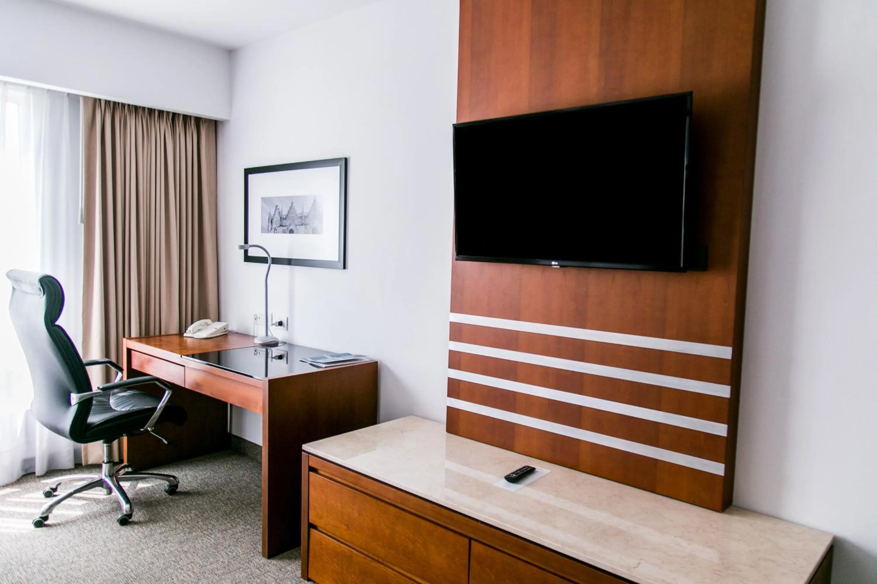 TV and multimedia in Radisson Poliforum Plaza Hotel Leon