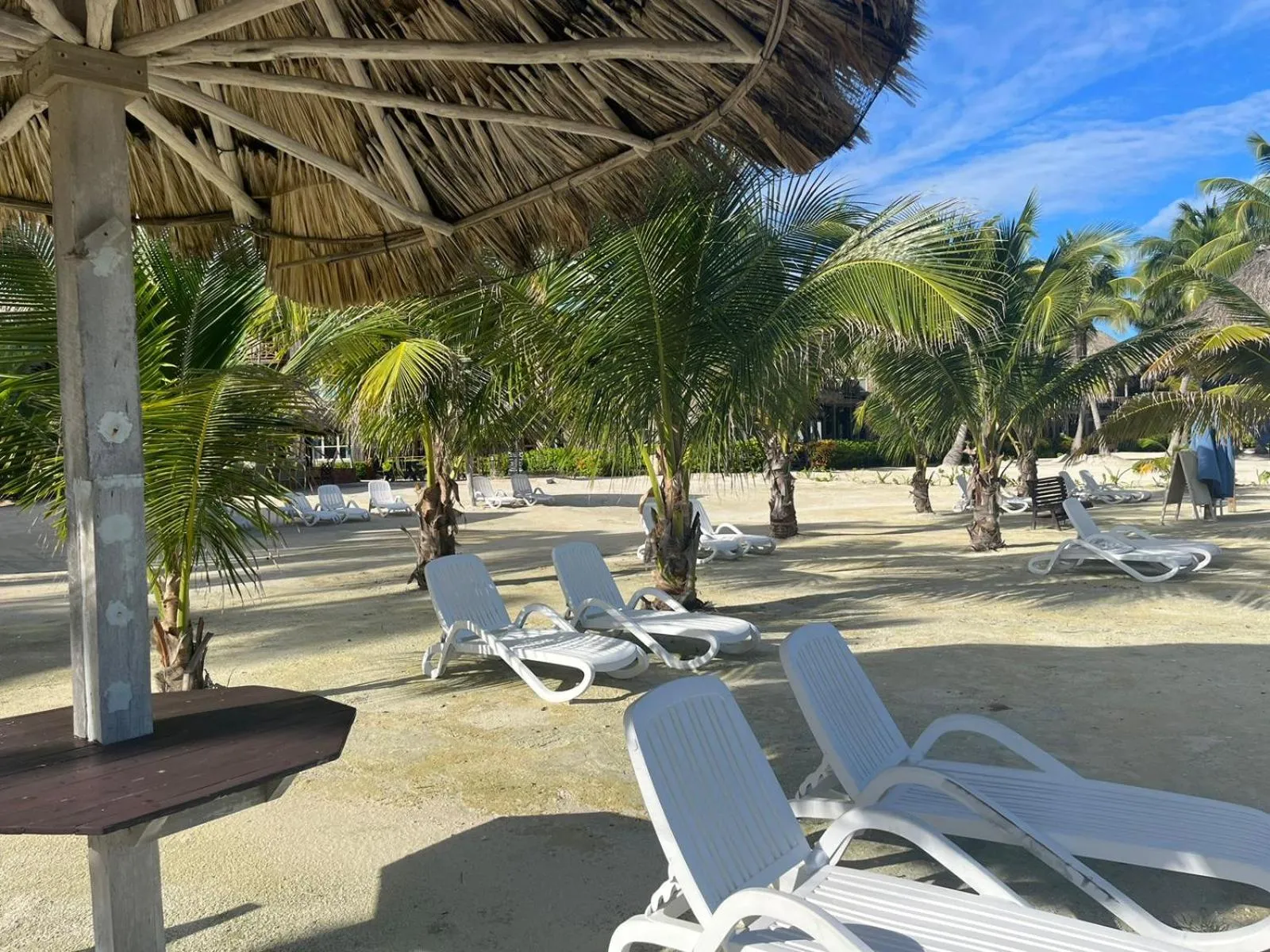 Natural landscape in Captain Morgan's Retreat