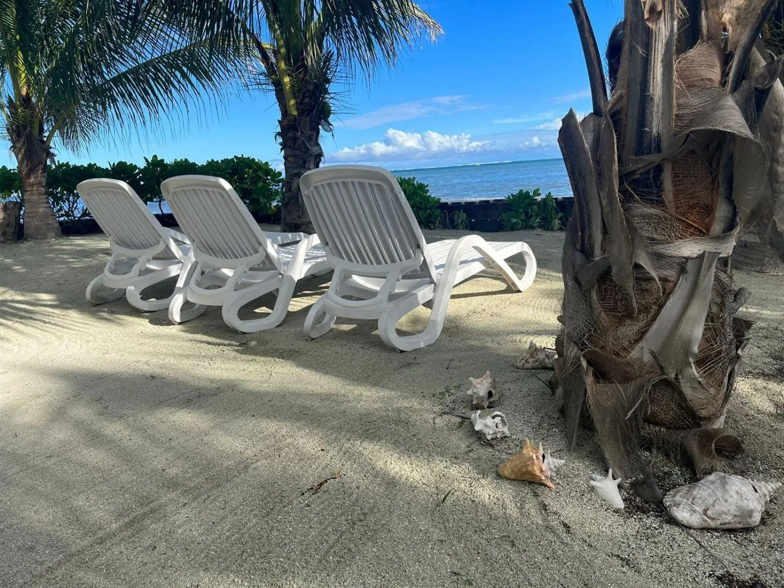 Natural landscape in Captain Morgan's Retreat