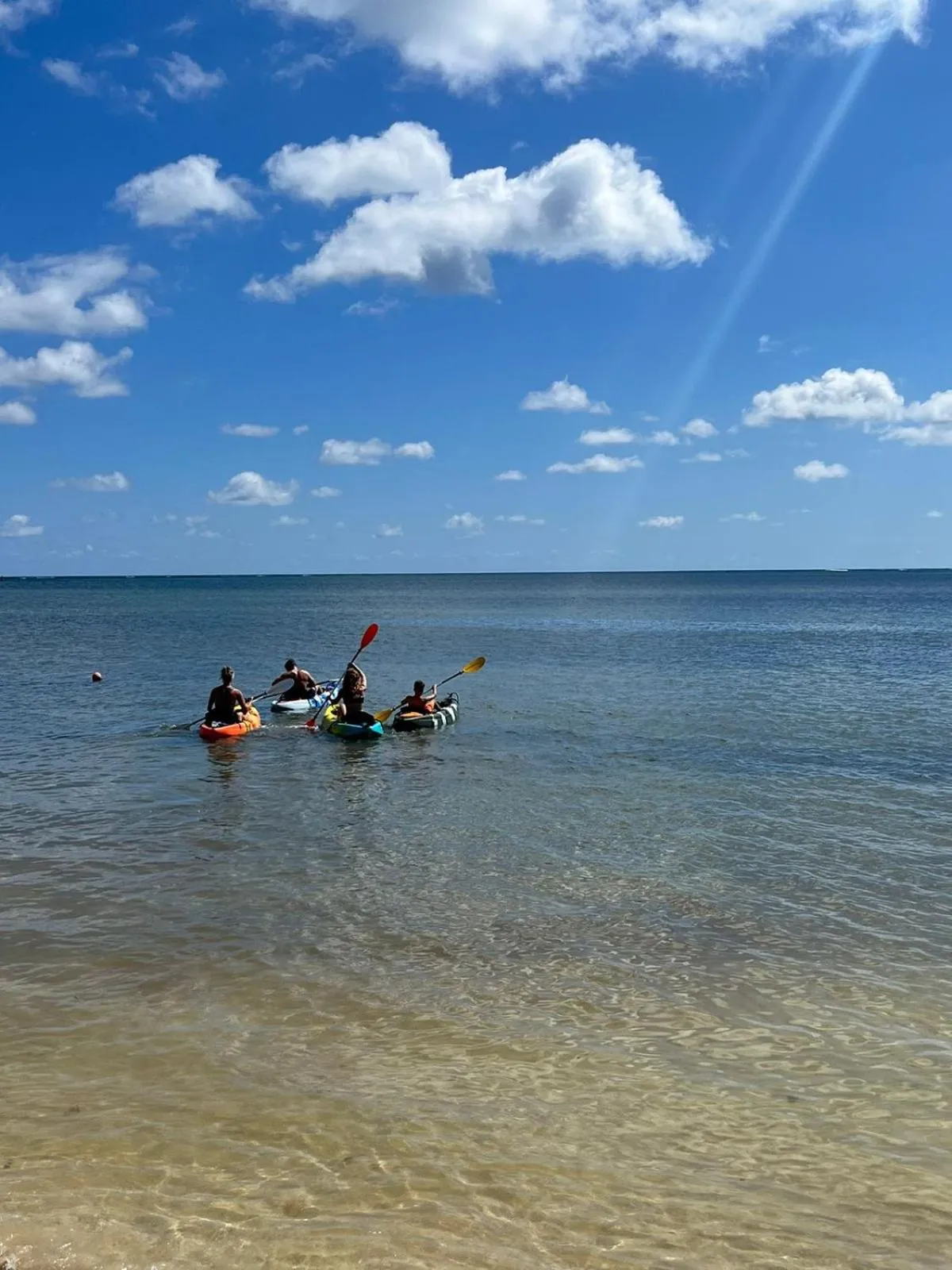 Natural landscape in Captain Morgan's Retreat