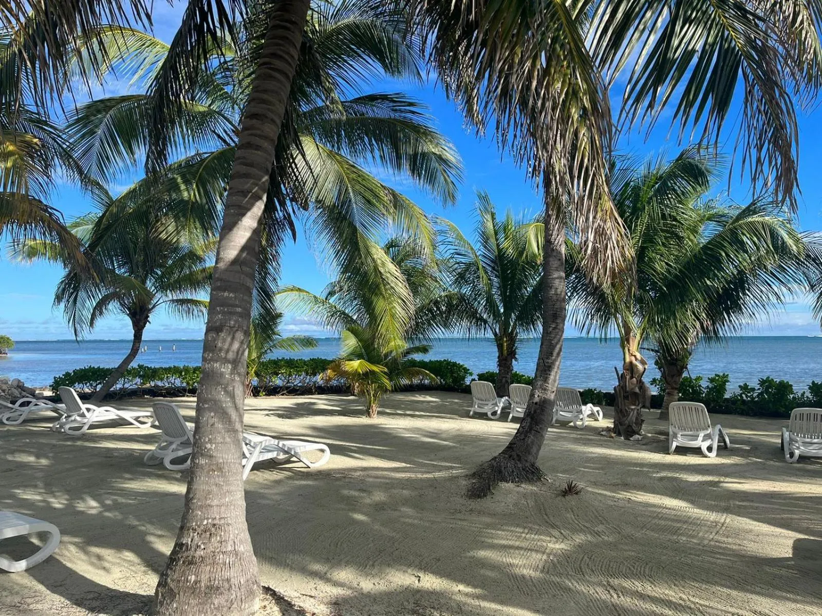 Natural landscape in Captain Morgan's Retreat