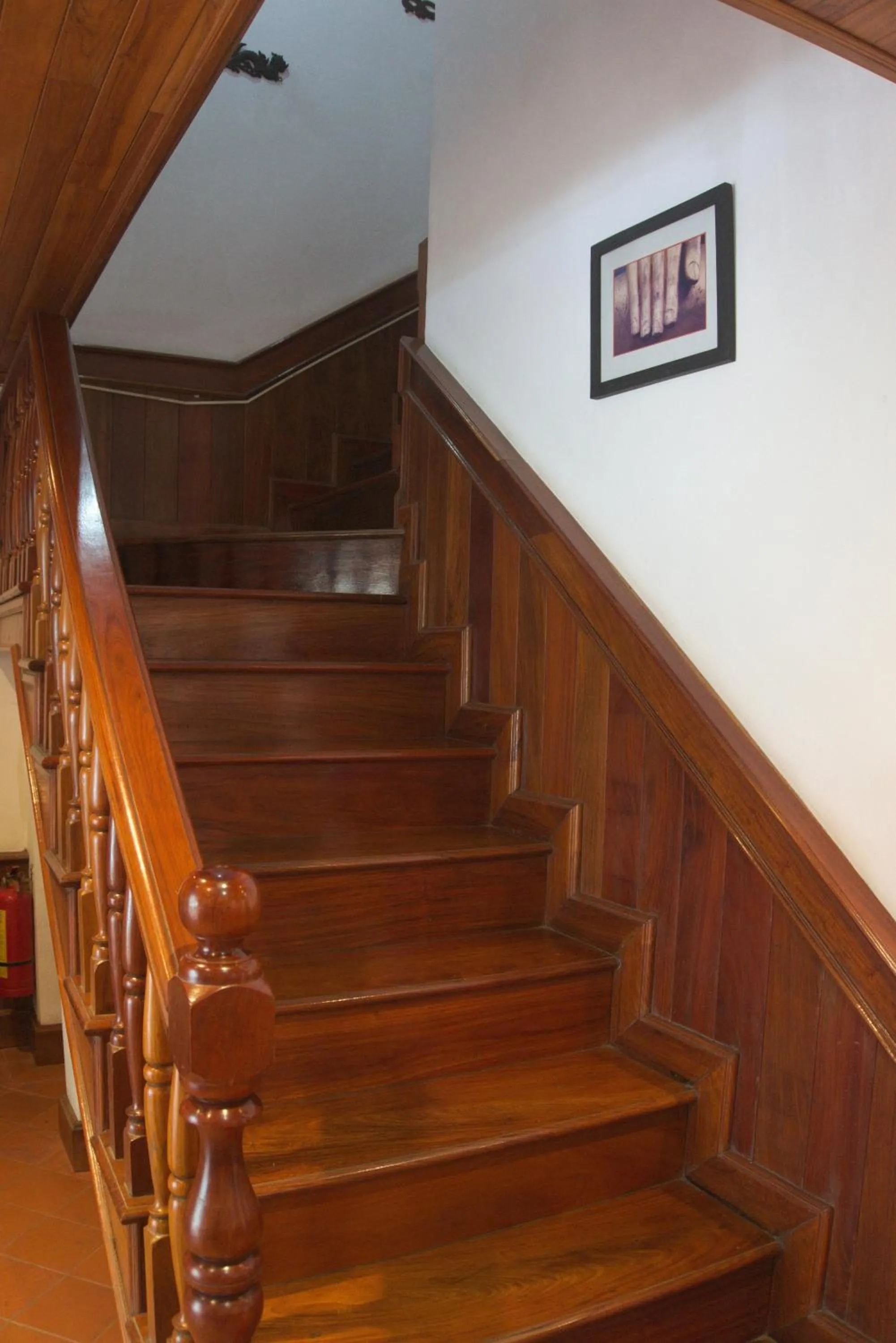 Area and facilities in Villa Sayada