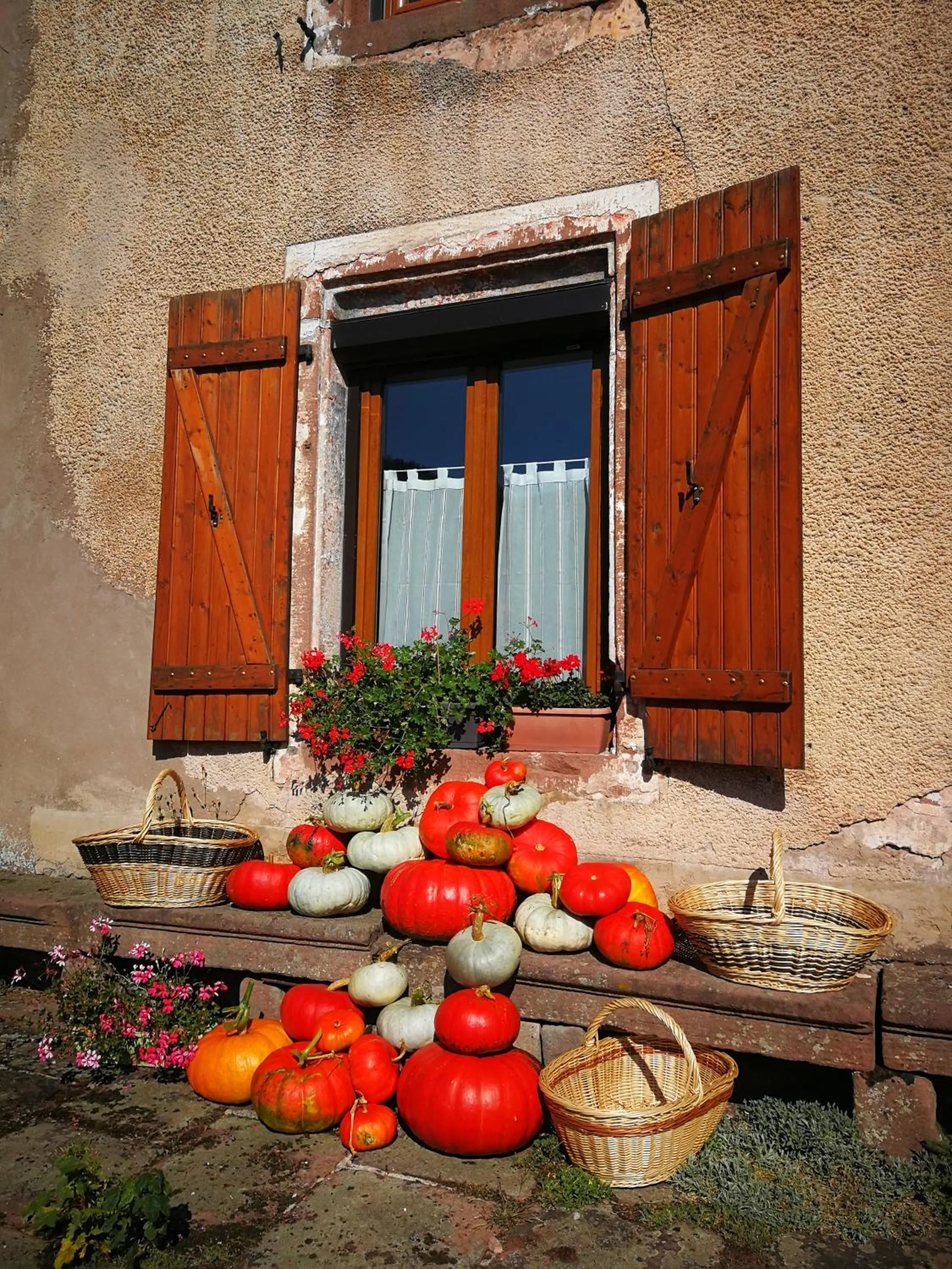 Facade/entrance in La maison du vannier