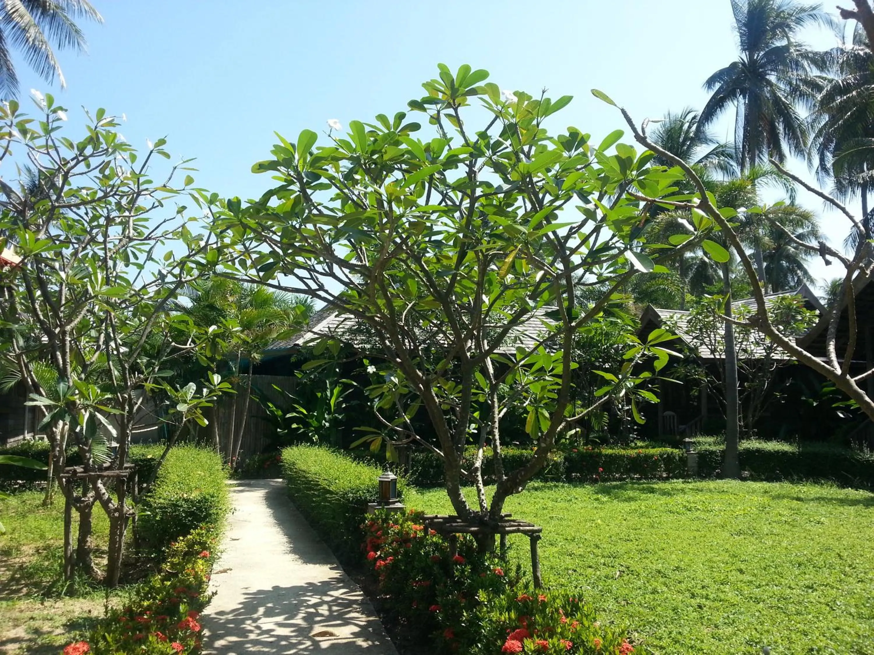 Facade/entrance in New Ozone Resort & Spa