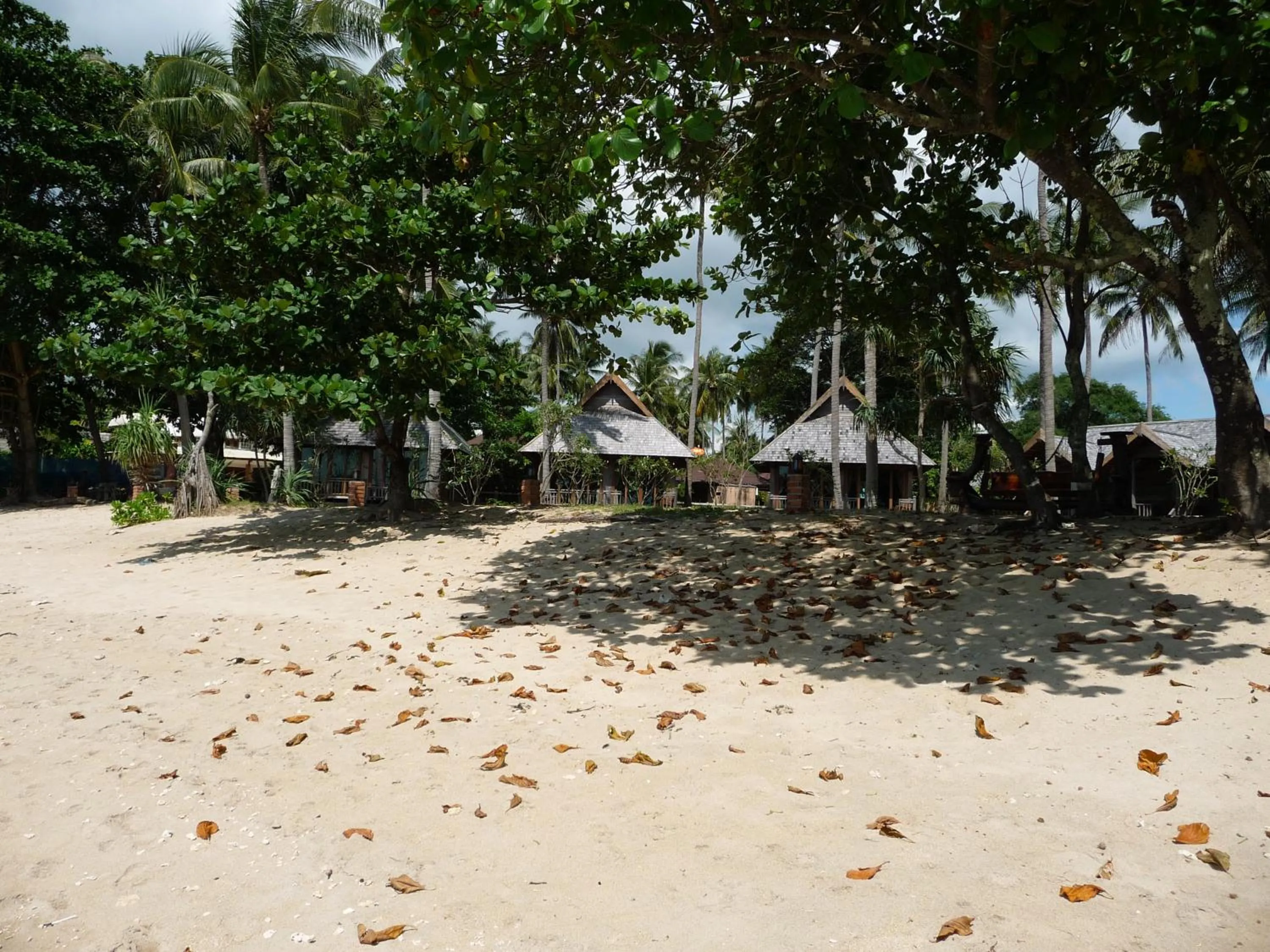 Beach in New Ozone Resort & Spa