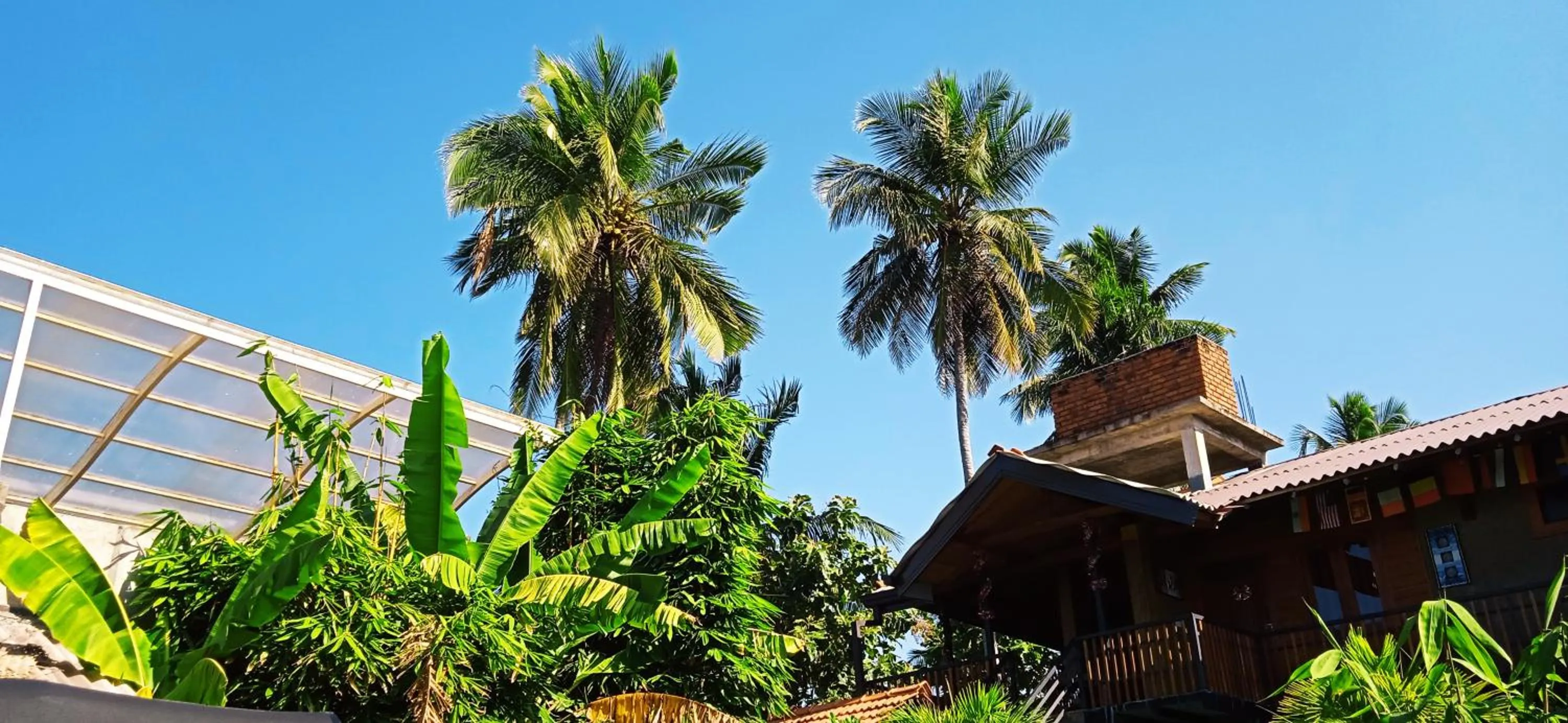 Natural landscape in Negombo The Nature Villa and Cabanas