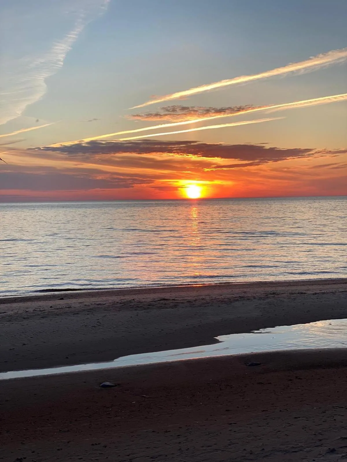 Natural landscape in Pine Resort