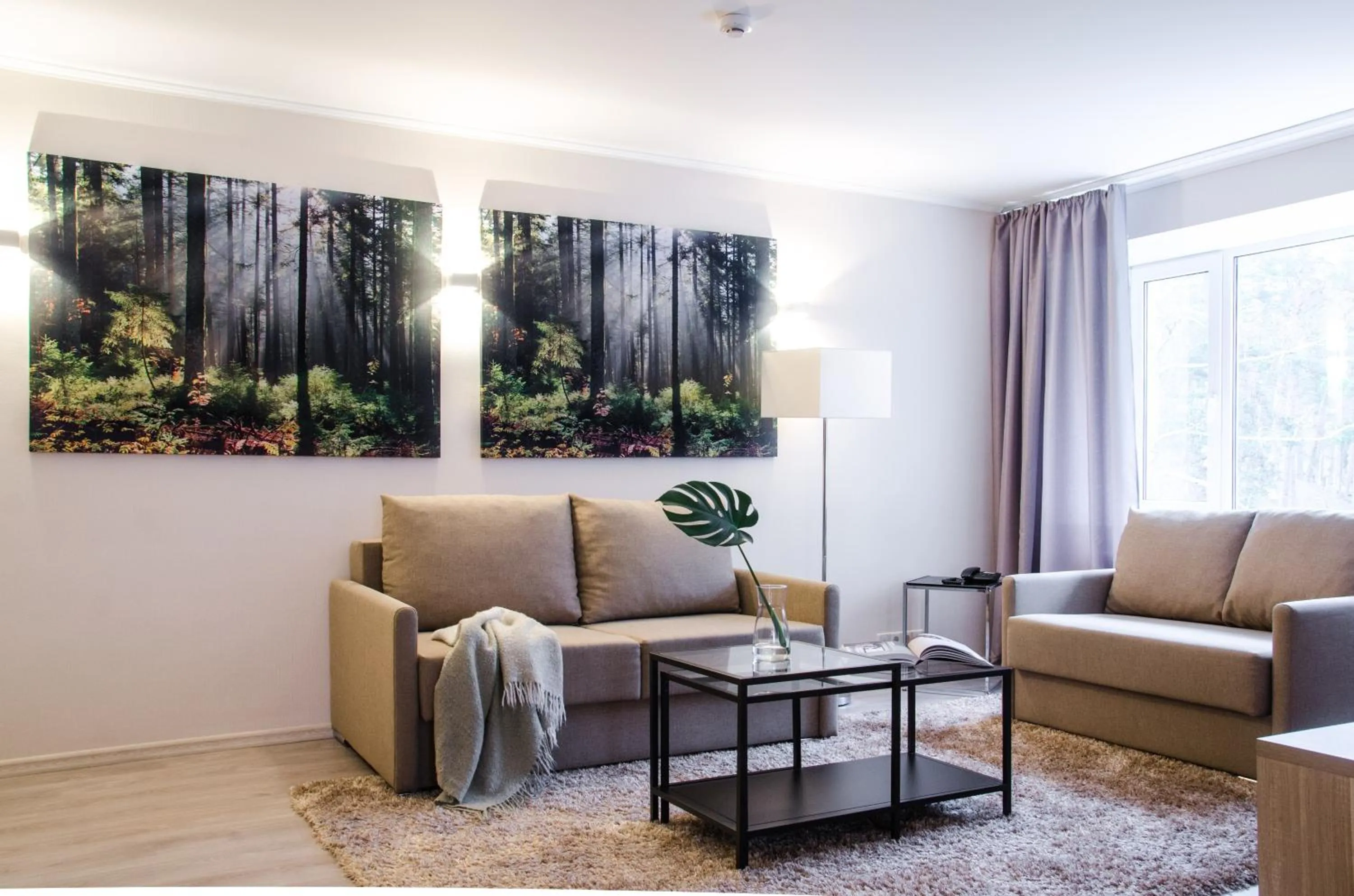 Photo of the whole room in Pine Resort