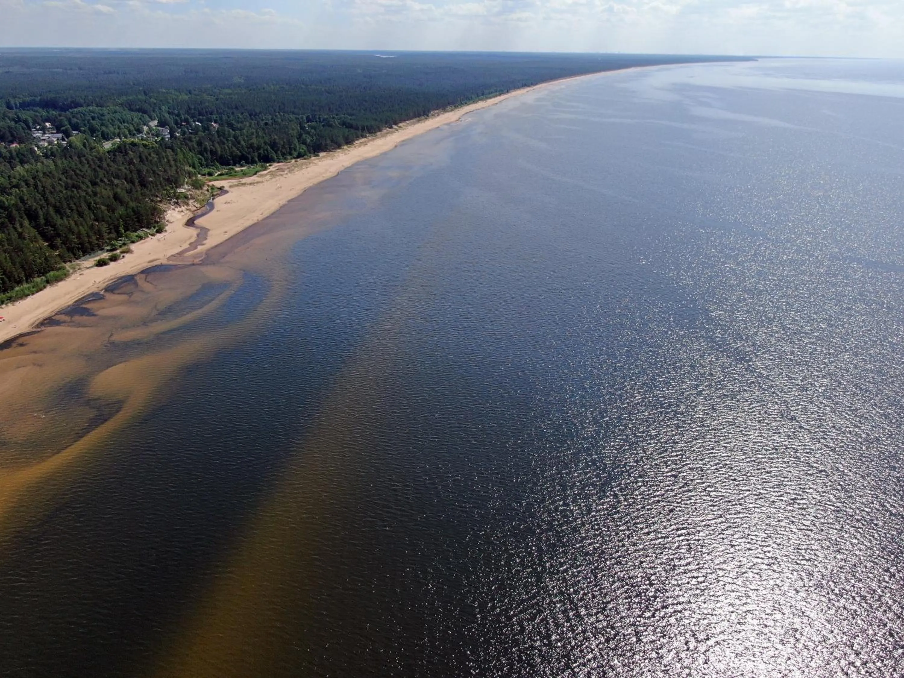 Natural landscape in Pine Resort