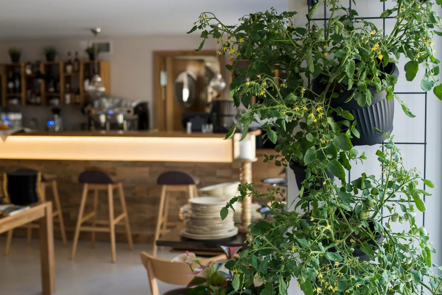 Restaurant/places to eat in Pine Resort