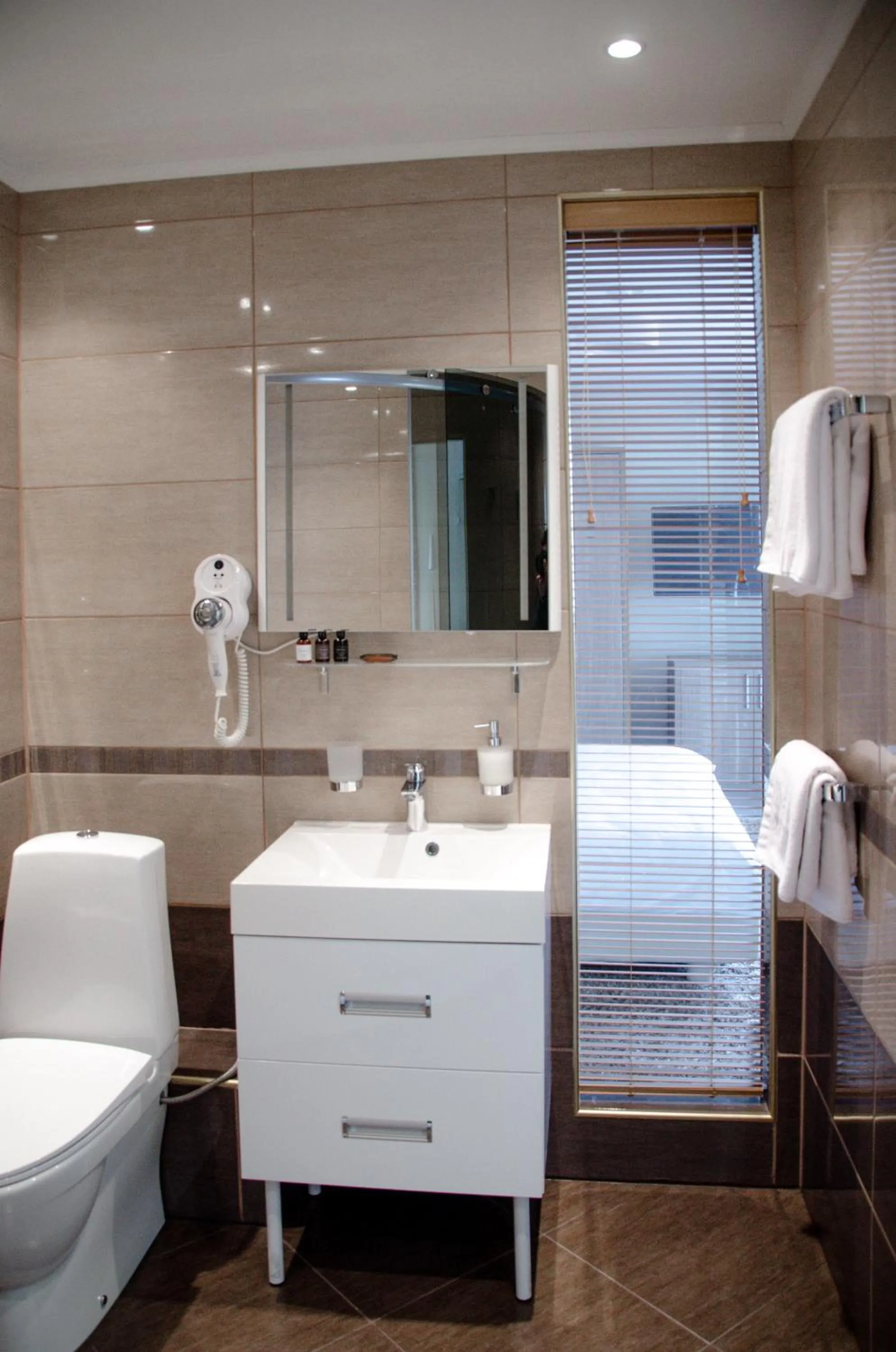 Toilet in Pine Resort