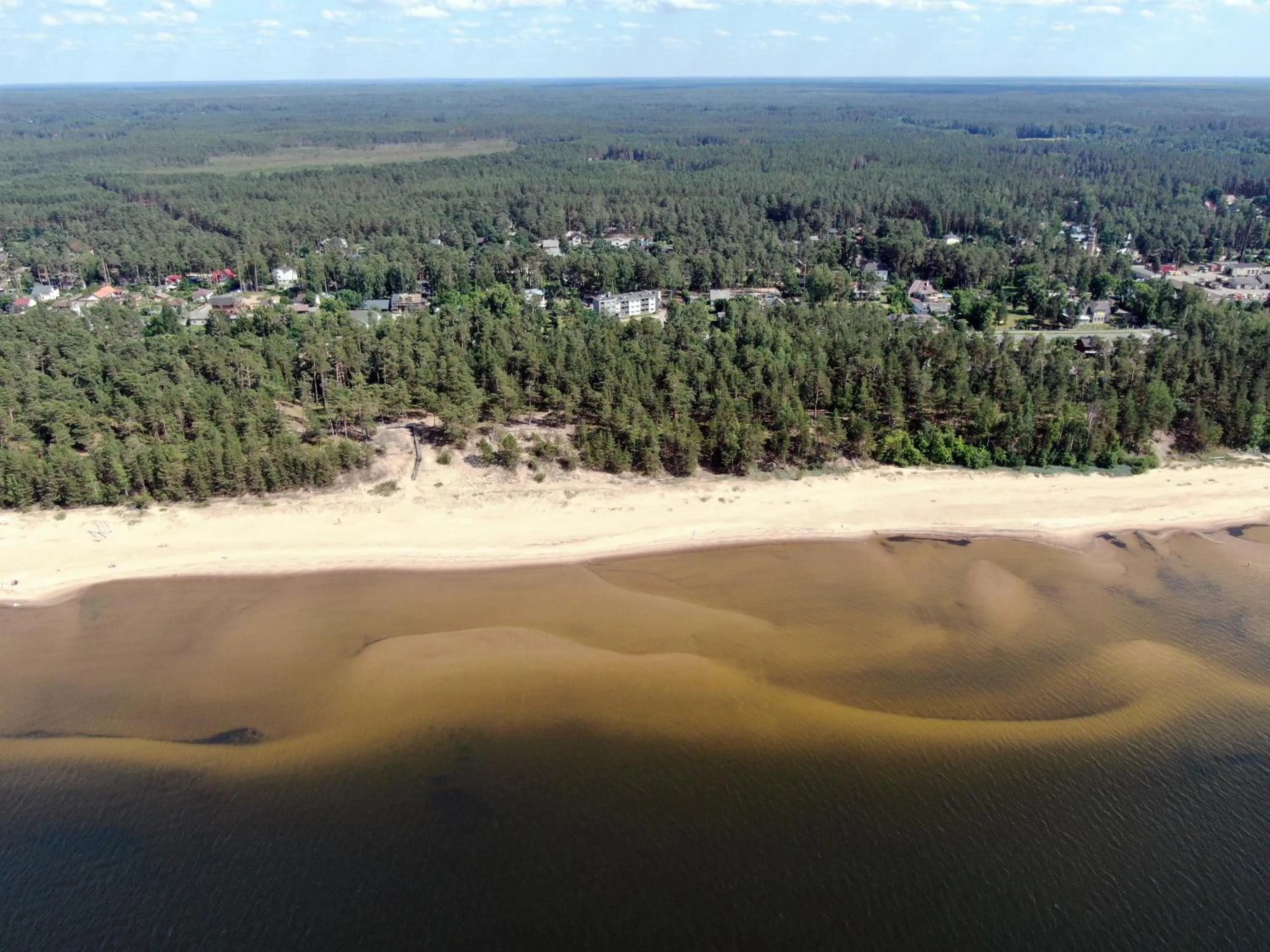 Natural landscape in Pine Resort