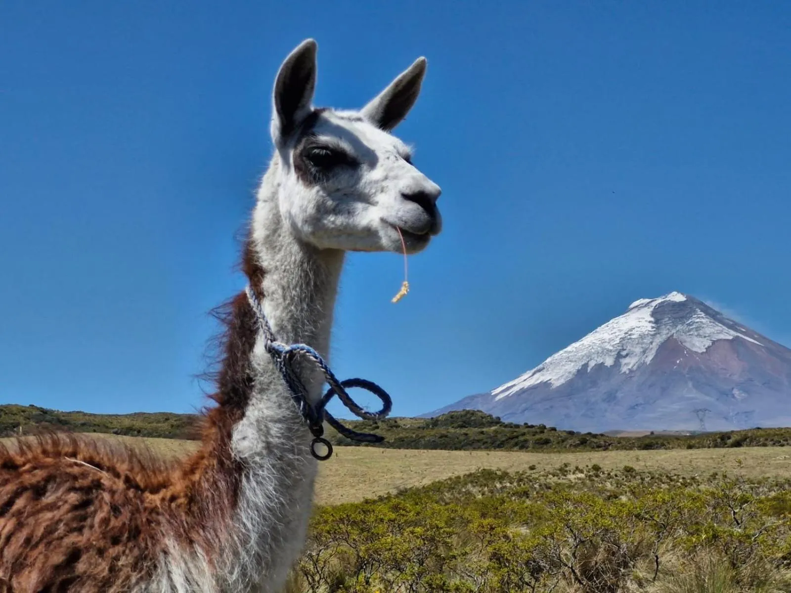 Ruta de los volcanes