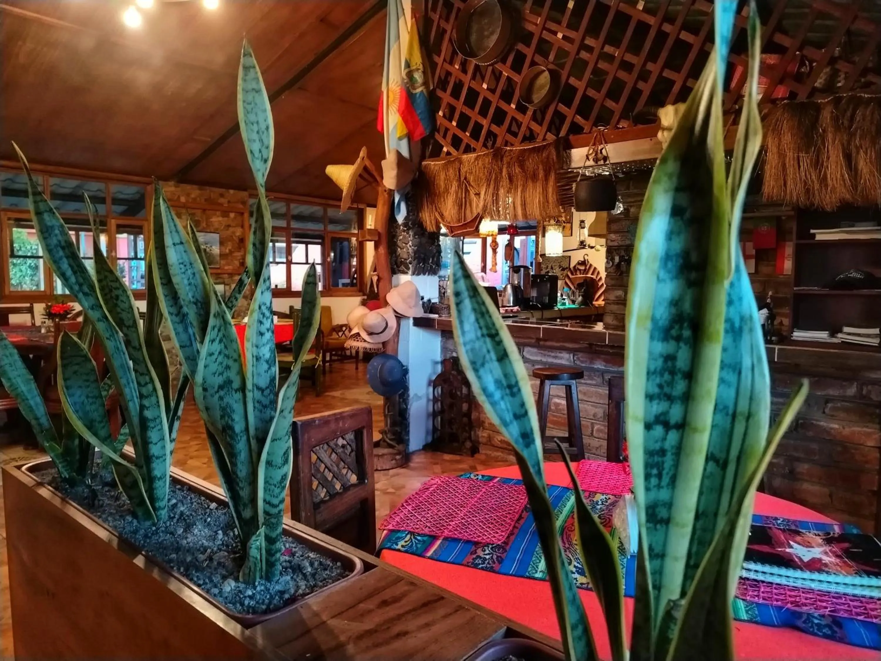 Ruta de los volcanes