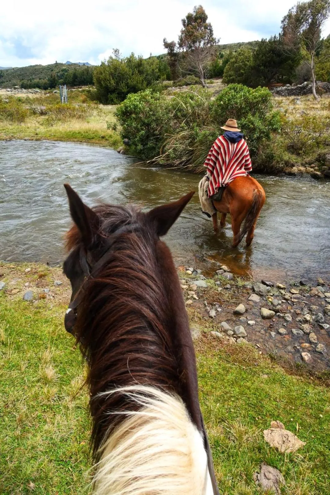 Ruta de los volcanes