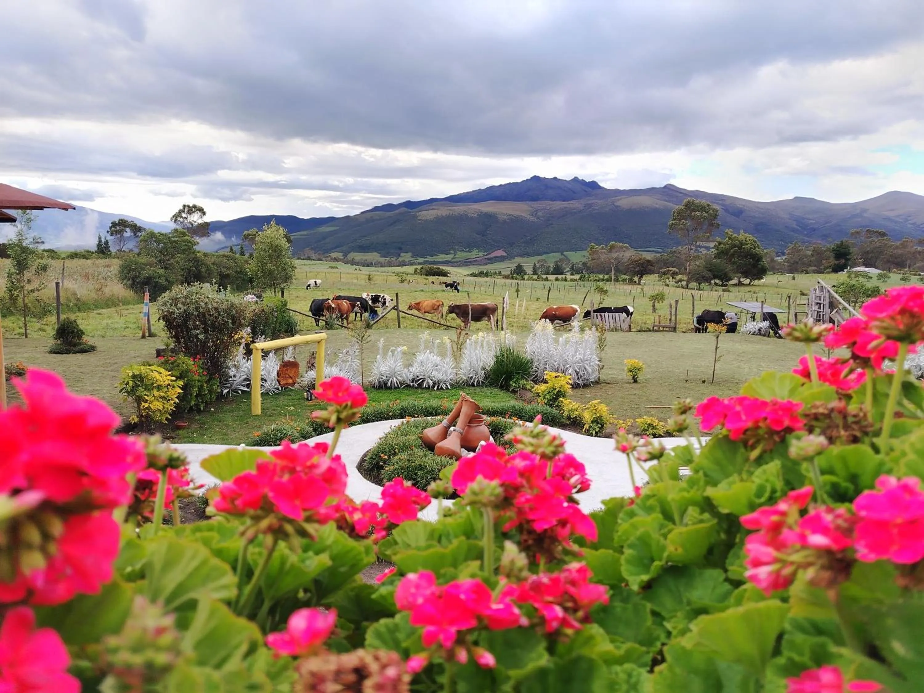 Garden view in Ruta de los volcanes
