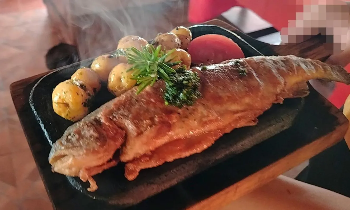 Ruta de los volcanes