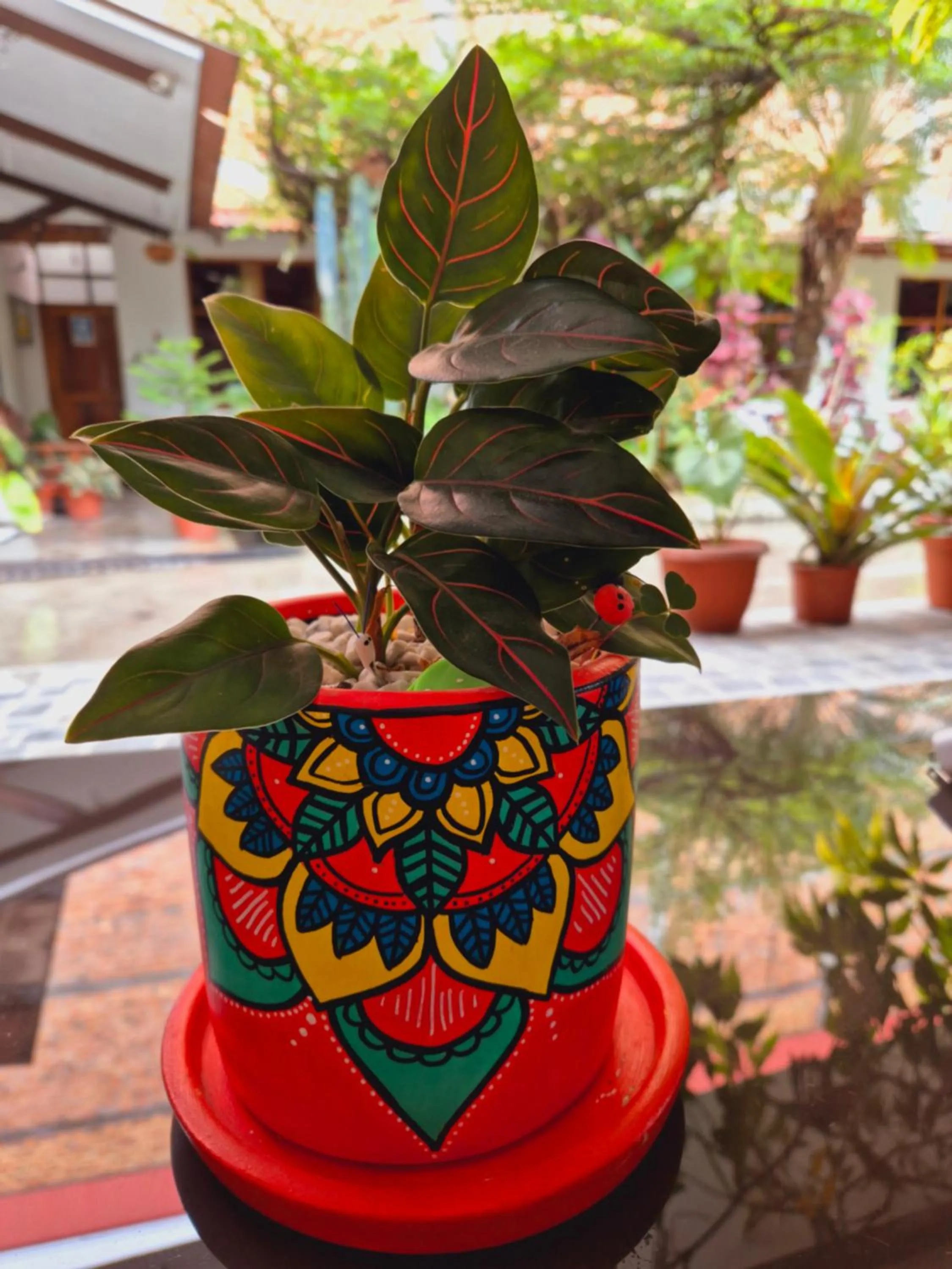 Country Club Eco Casajardin