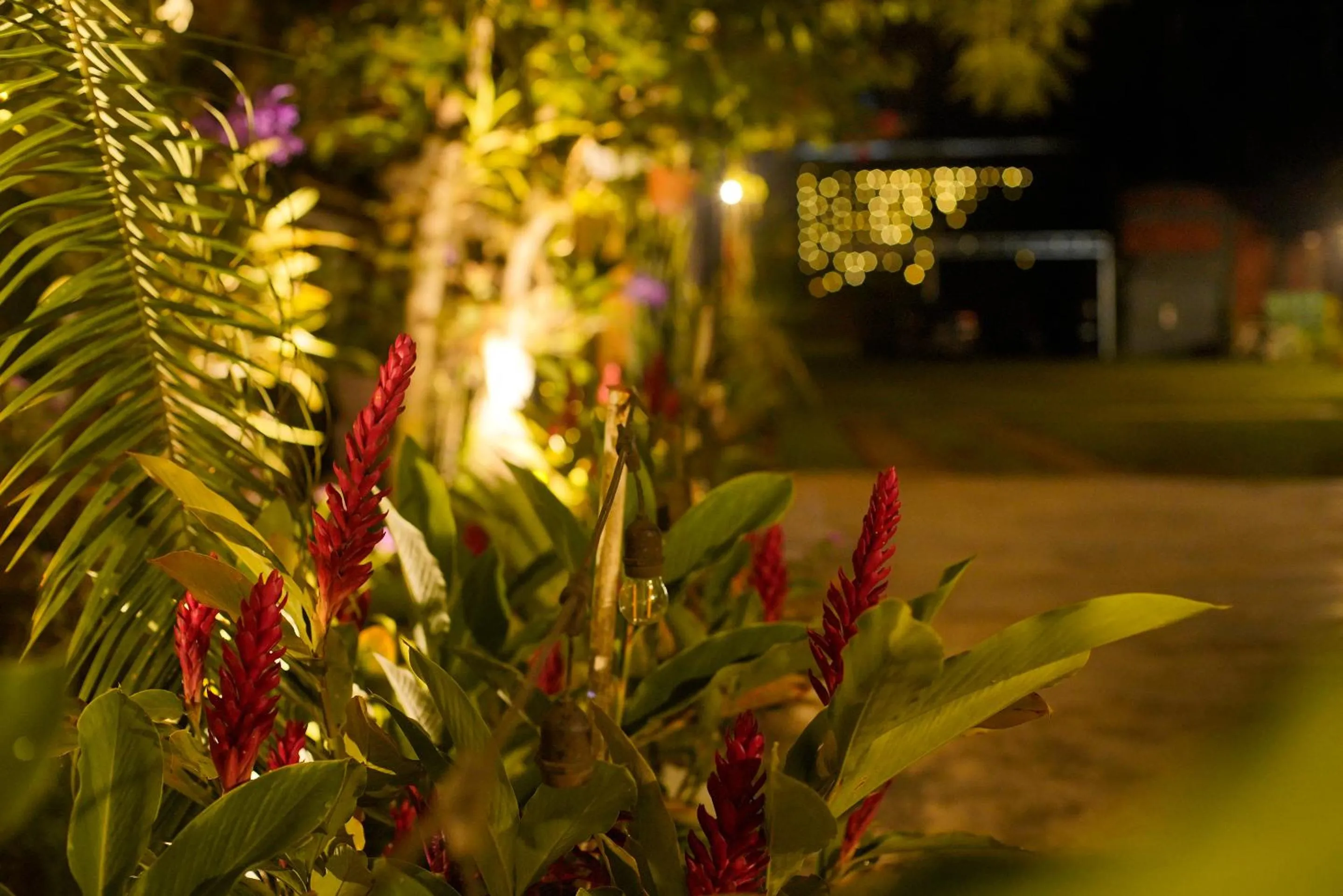 Country Club Eco Casajardin