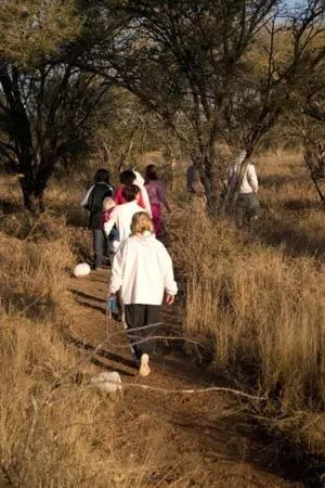 Ditholo Game Lodge Bela Bela