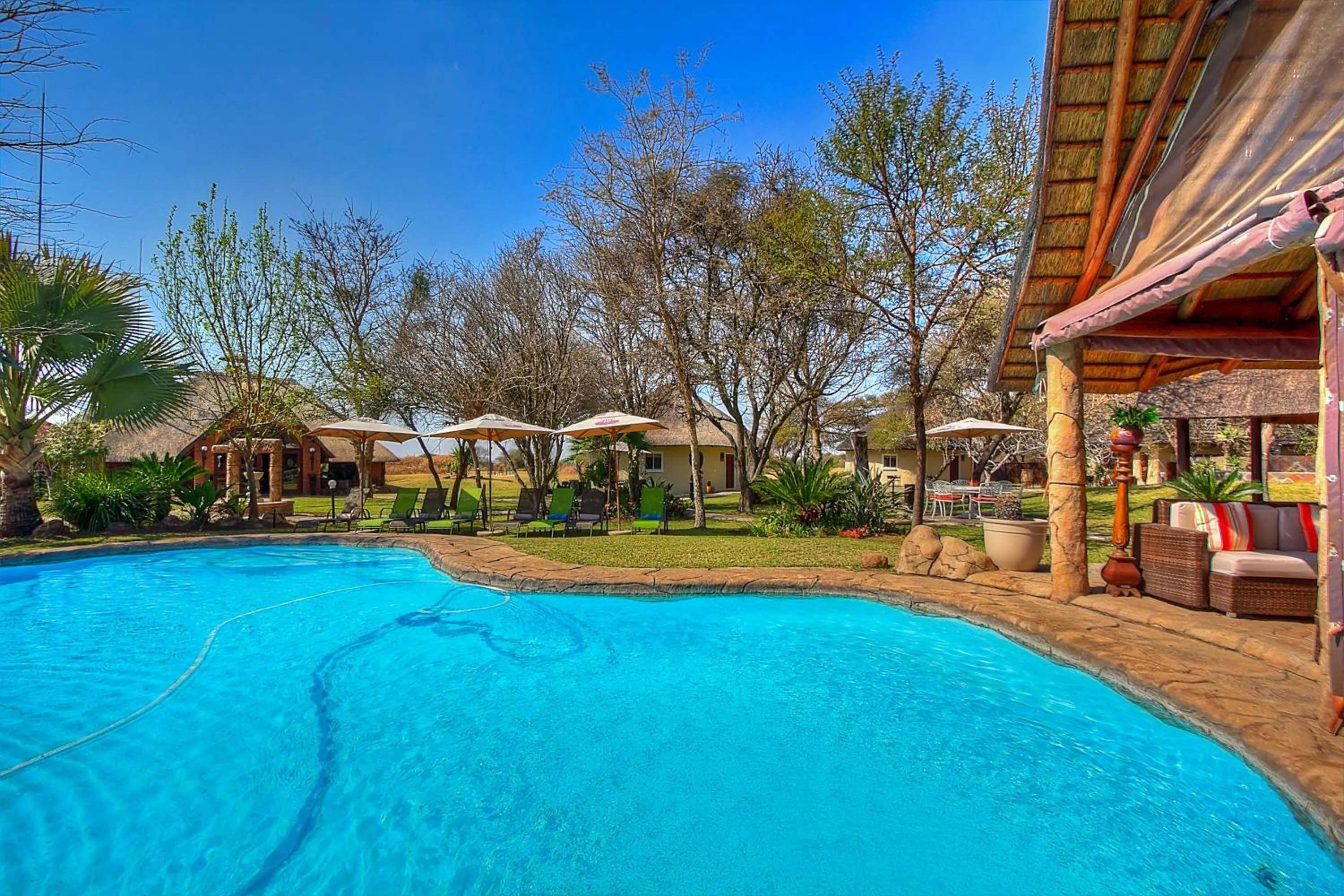 Ditholo Game Lodge Bela Bela