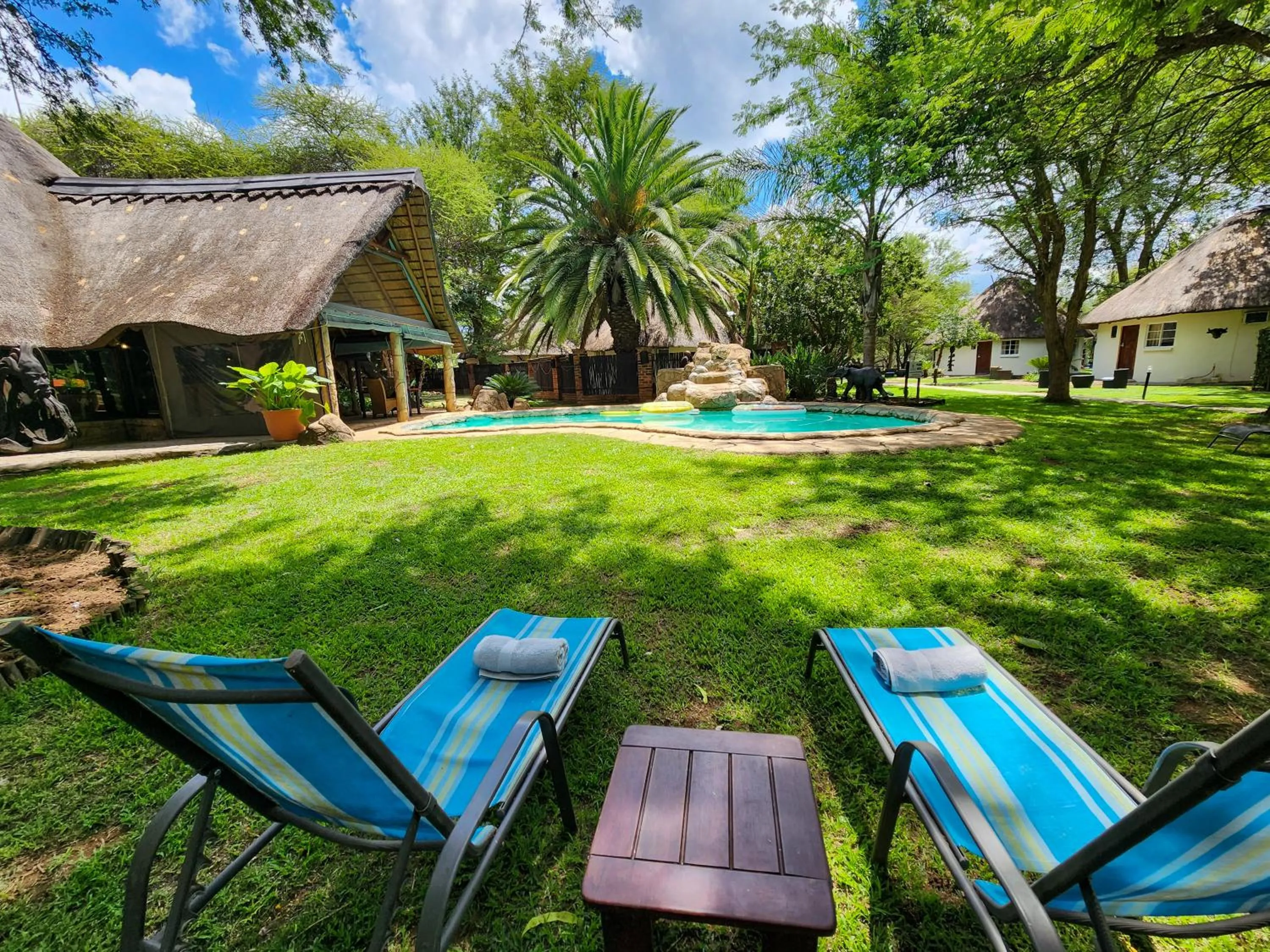 Natural landscape in Ditholo Game Lodge Bela Bela