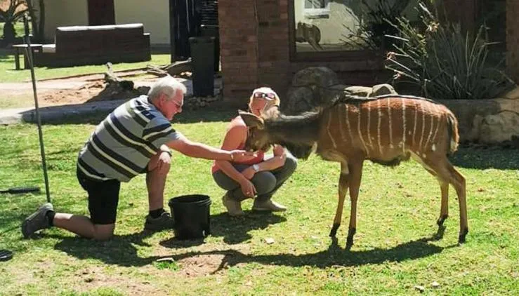 Ditholo Game Lodge Bela Bela