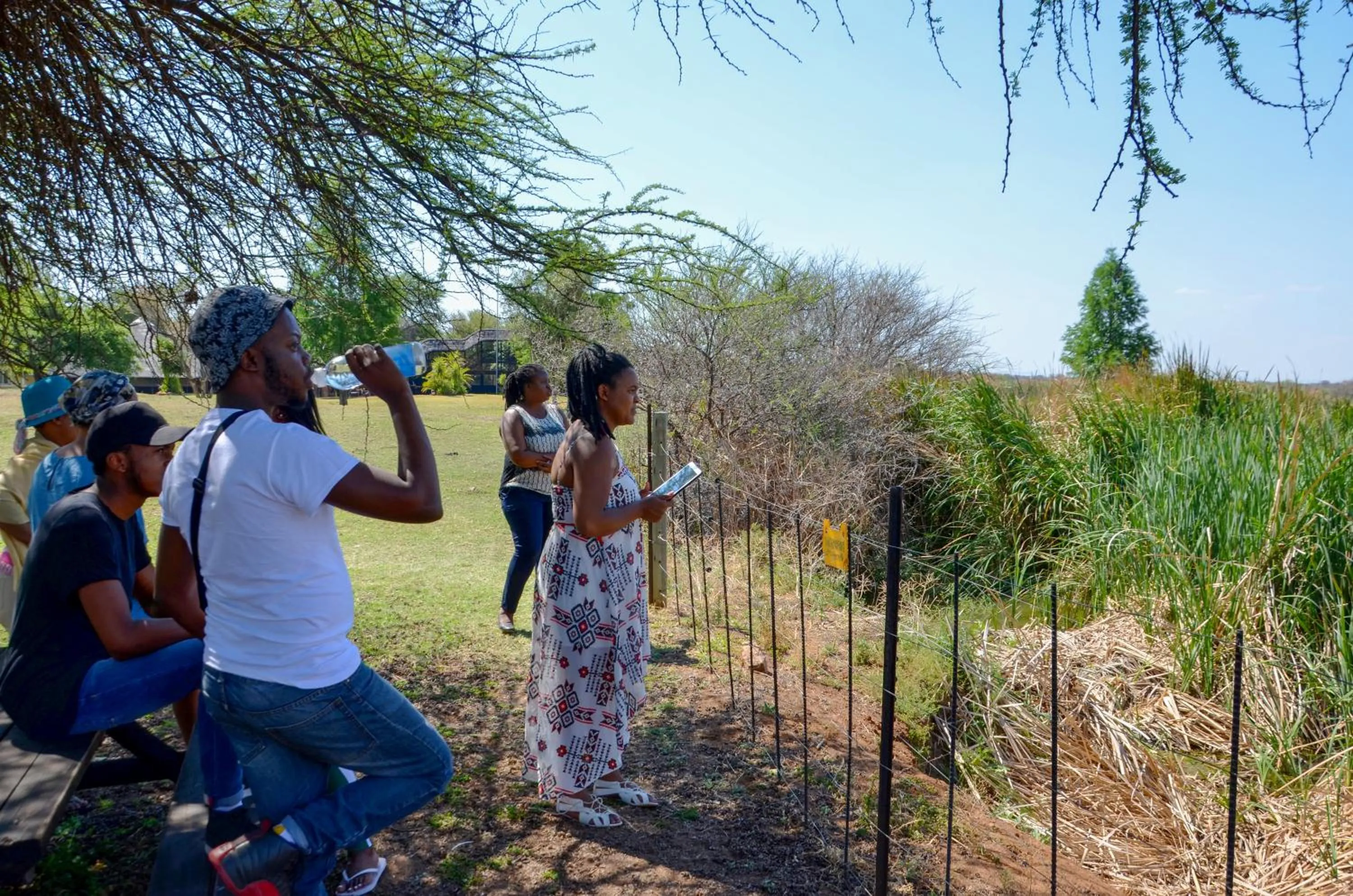 Ditholo Game Lodge Bela Bela