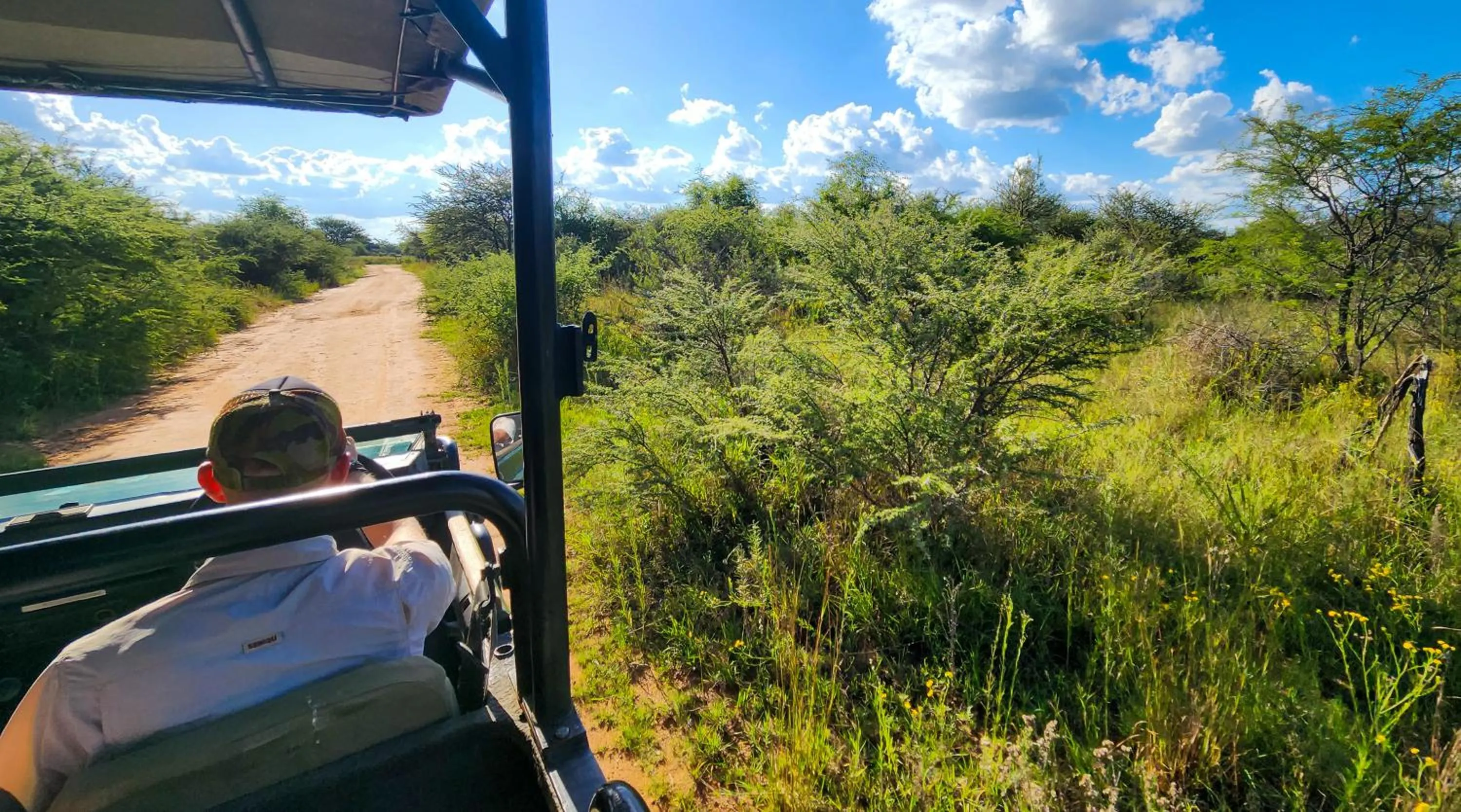 Ditholo Game Lodge Bela Bela