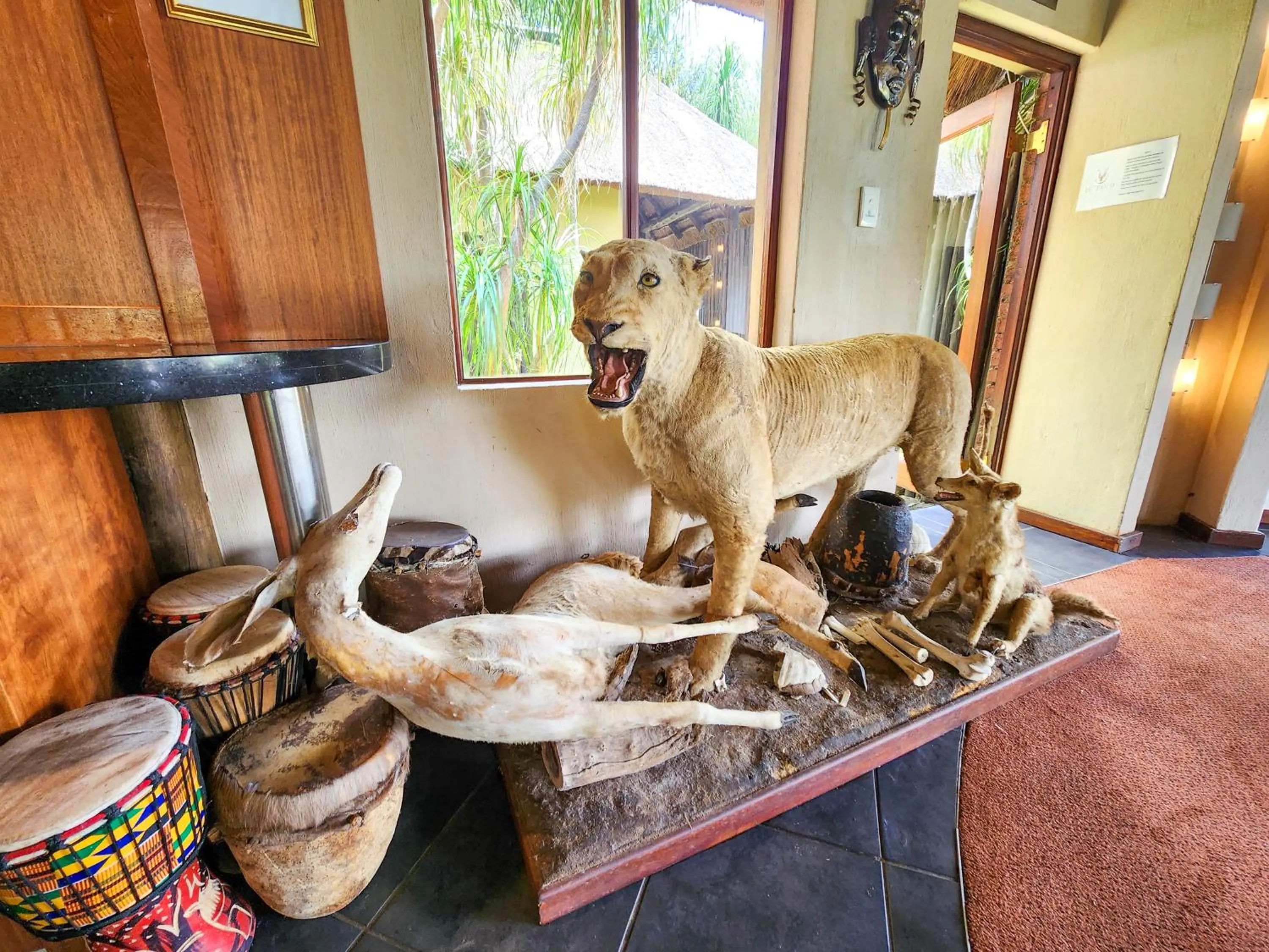 Ditholo Game Lodge Bela Bela