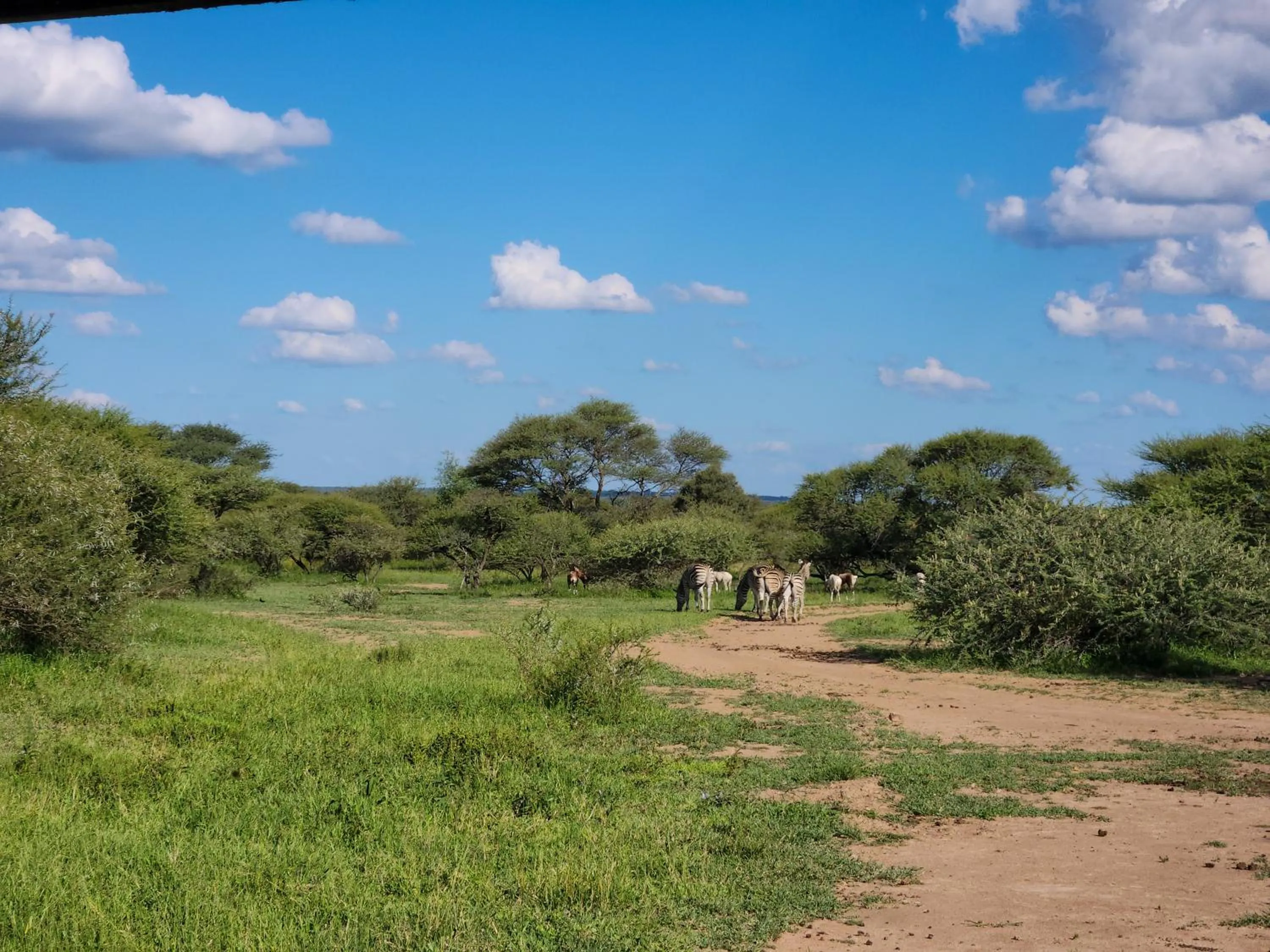 Spring in Ditholo Game Lodge Bela Bela
