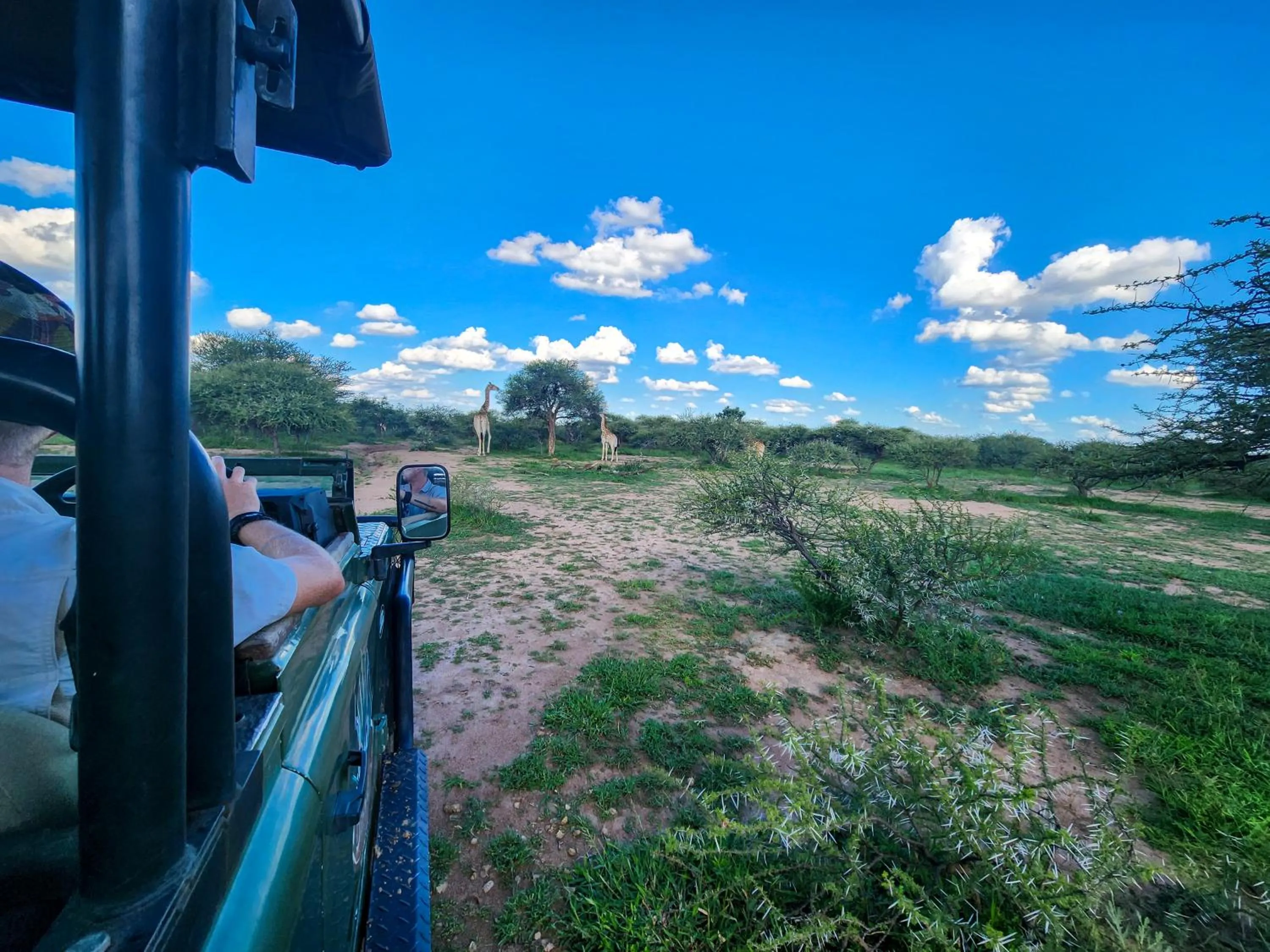 Spring in Ditholo Game Lodge Bela Bela