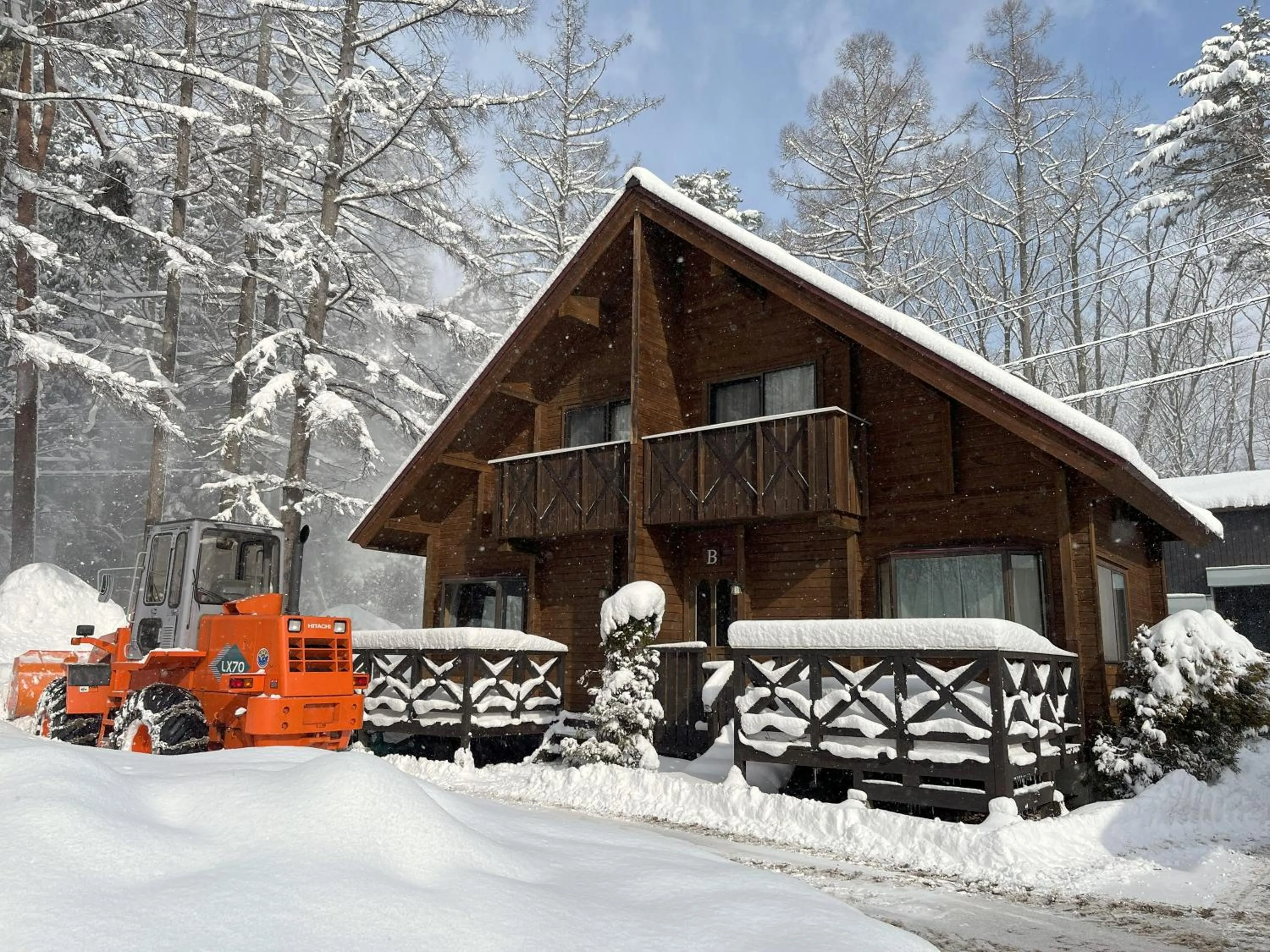 Property building in Log Cottage Epoch