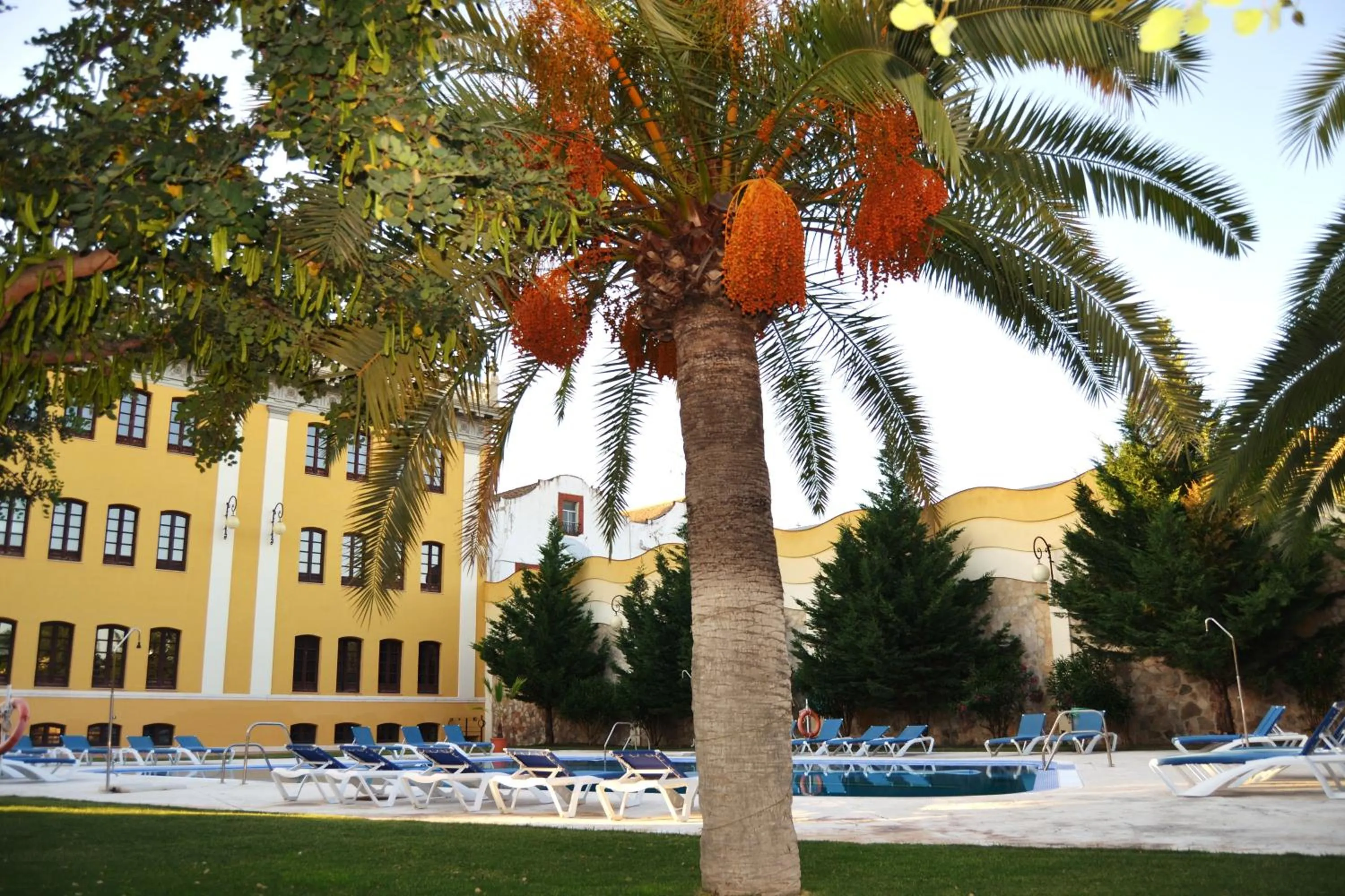 Swimming pool in Hotel El Carmen