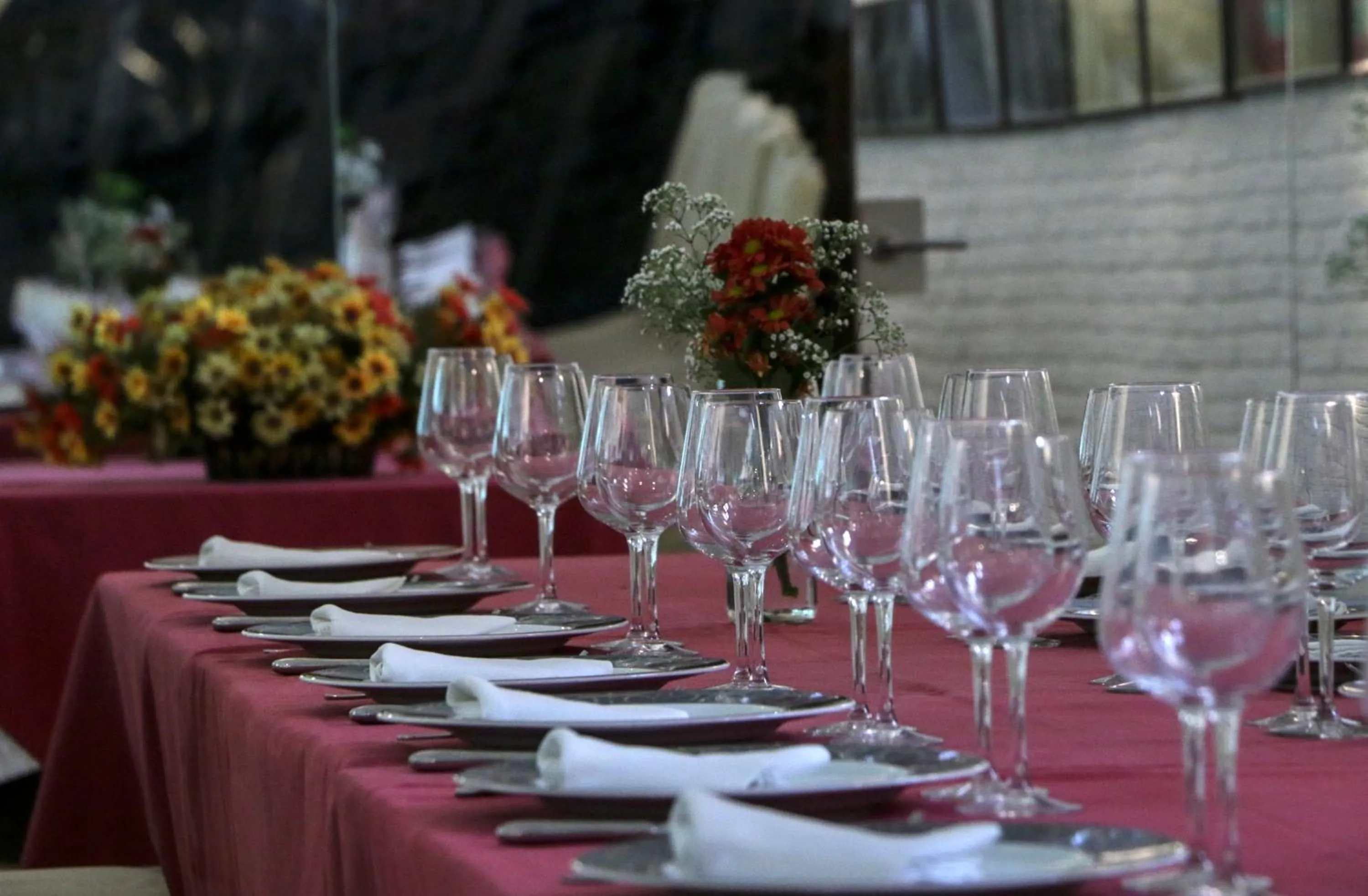 Banquet/Function facilities in Hotel El Carmen
